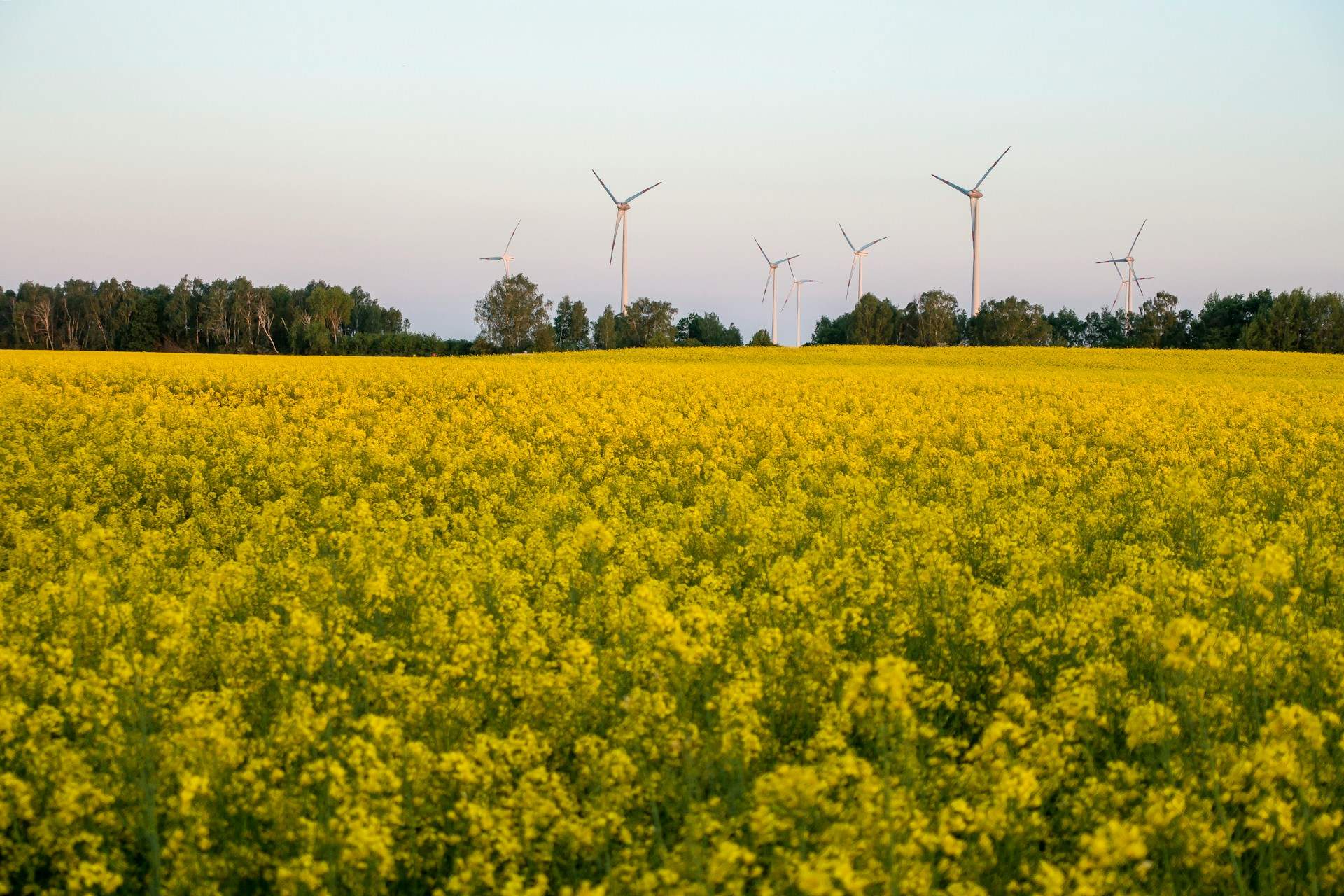 Wird es in Zukunft noch genug zu essen geben? Was der Klimawandel mit unserer Ernährung macht — Gesundheit