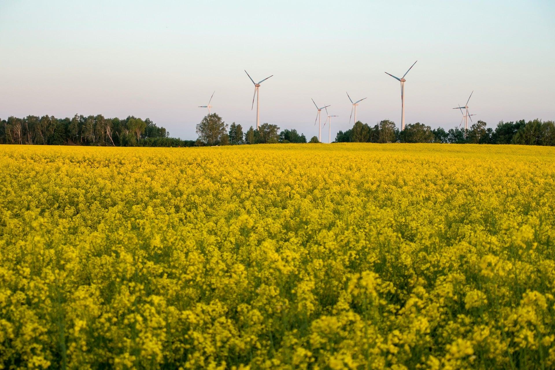 Wird es in Zukunft noch genug zu essen geben? Was der Klimawandel mit unserer Ernährung macht — Gesundheit
