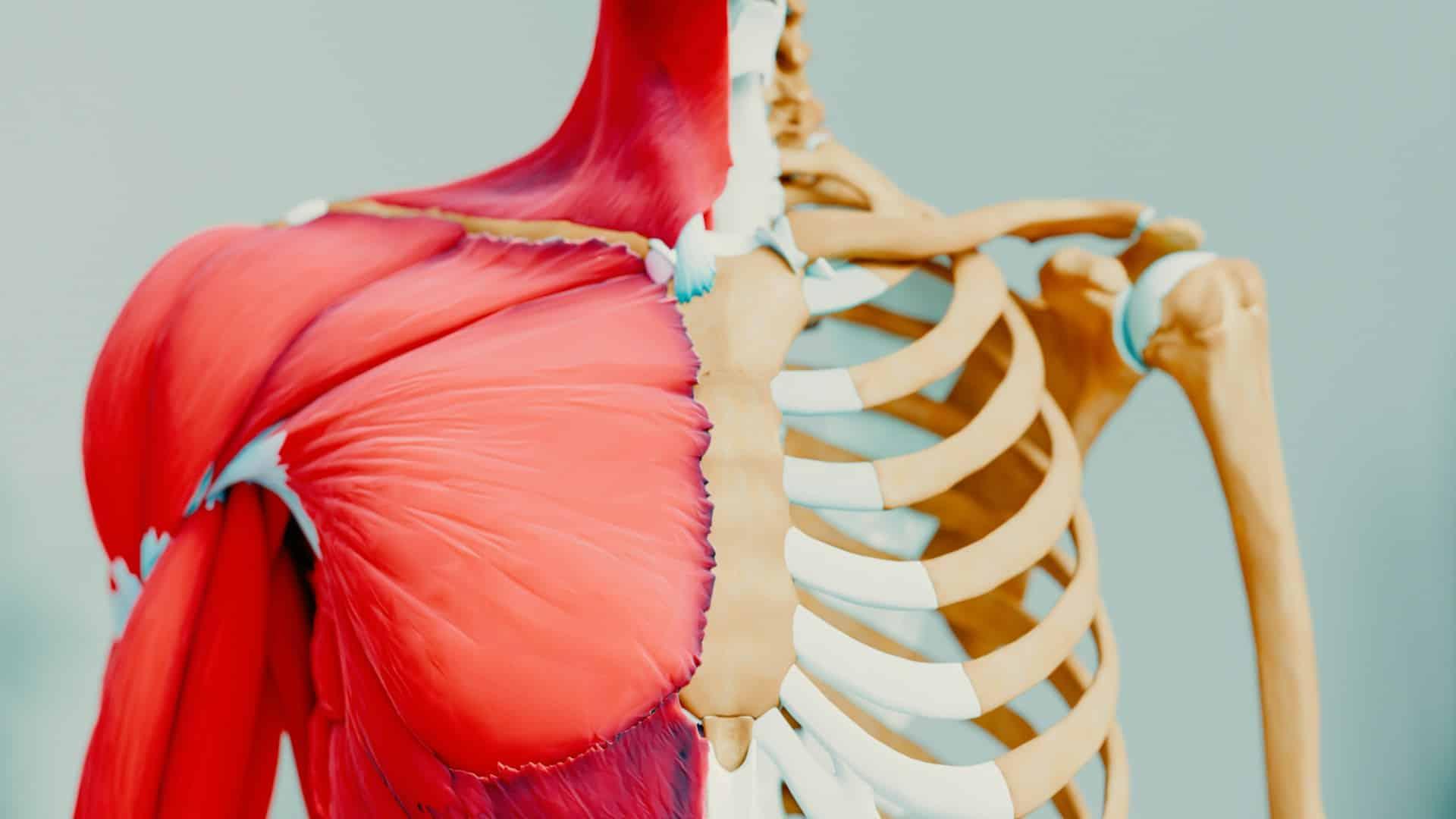 « Il n'existe pas de schizophrène aveugle depuis sa naissance. » Que savons-nous du fonctionnement du corps ? — Santé
