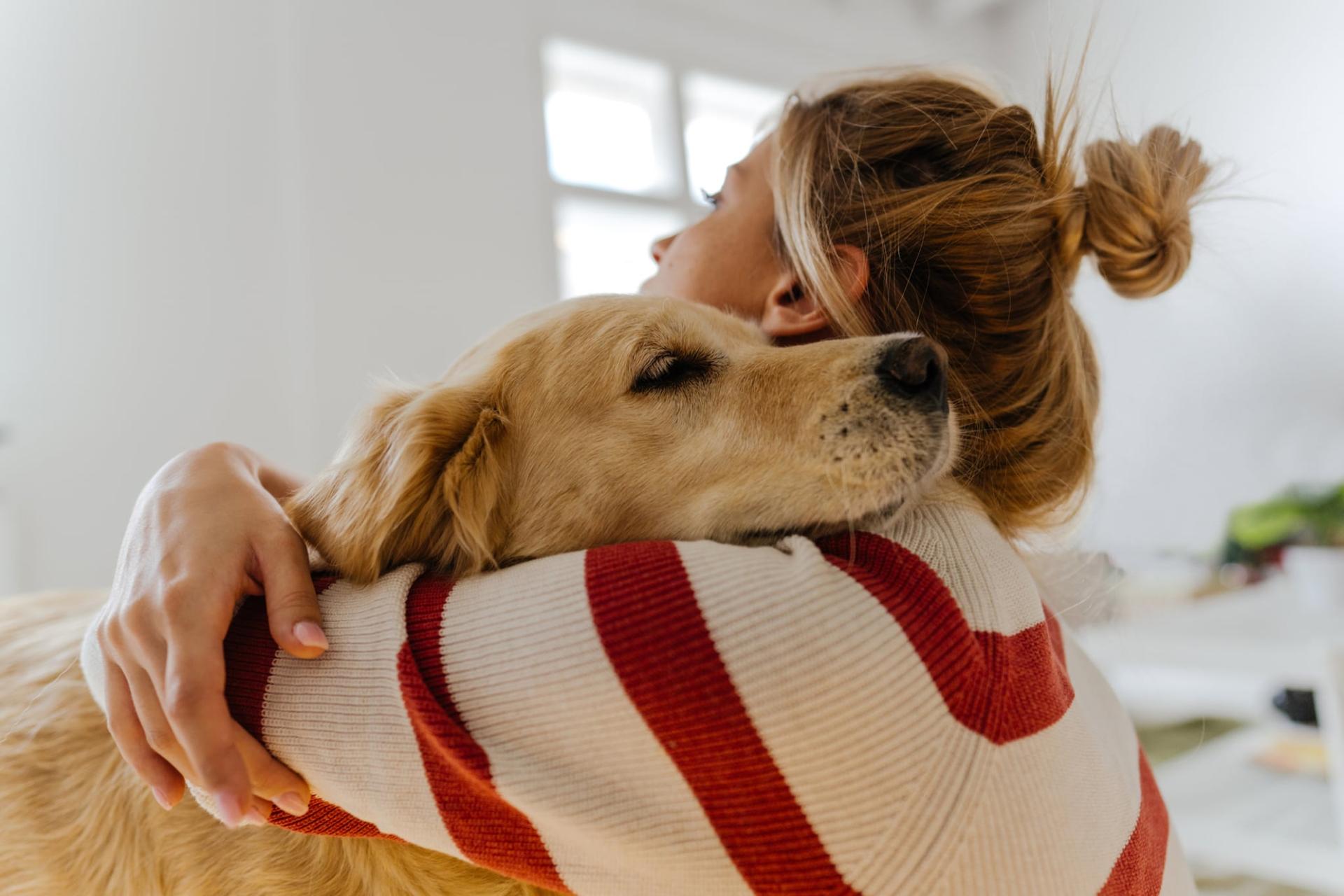 ¿Sienten los perros cuando alguien está embarazada en la familia? — Familia