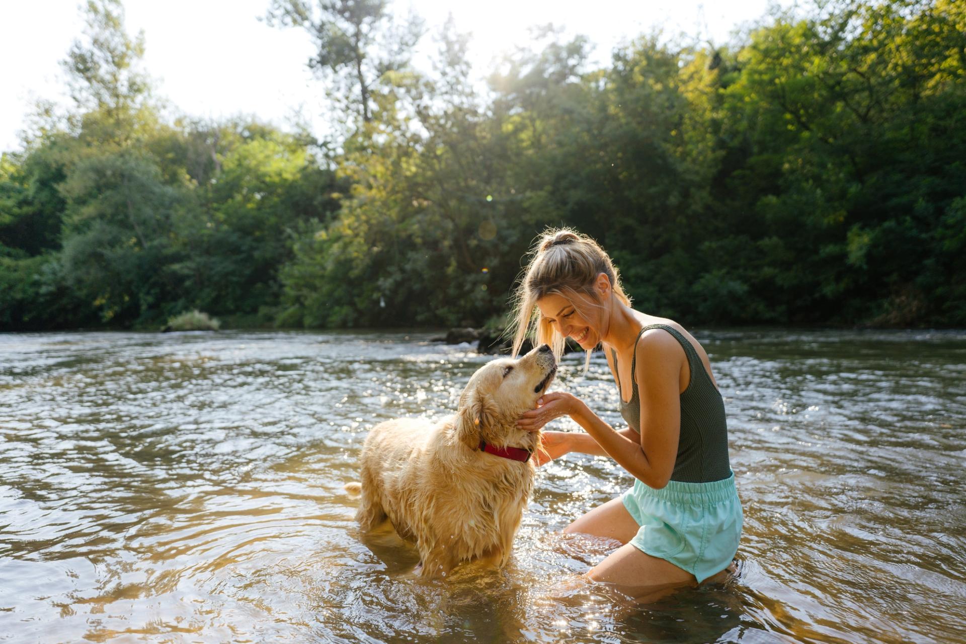 Bords d'eau pour chiens : ces endroits où vous pouvez emmener votre chien se rafraîchir sans hésiter — Loisirs