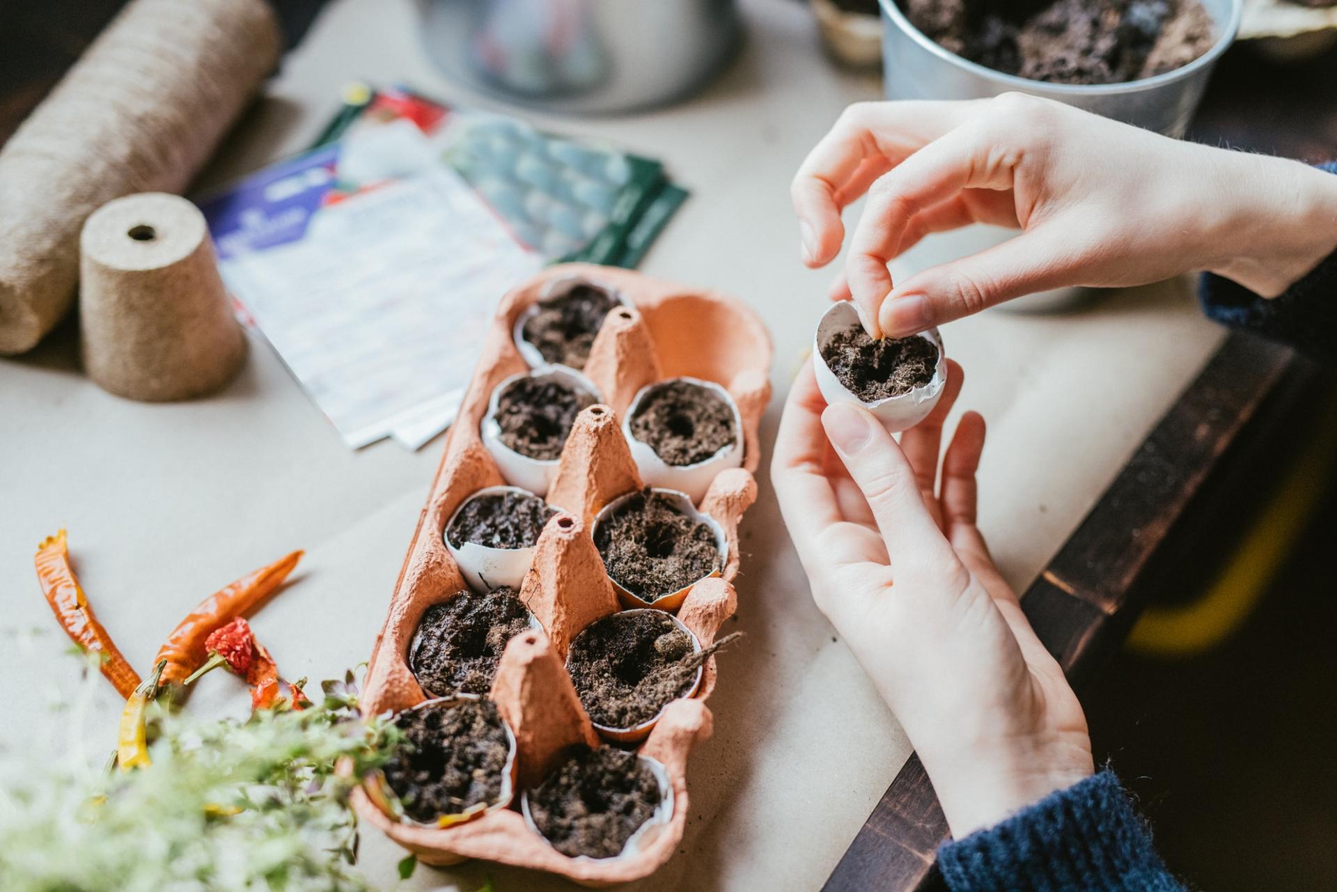 Don't throw away empty egg cartons — here are 5 clever ways to reuse them — Household