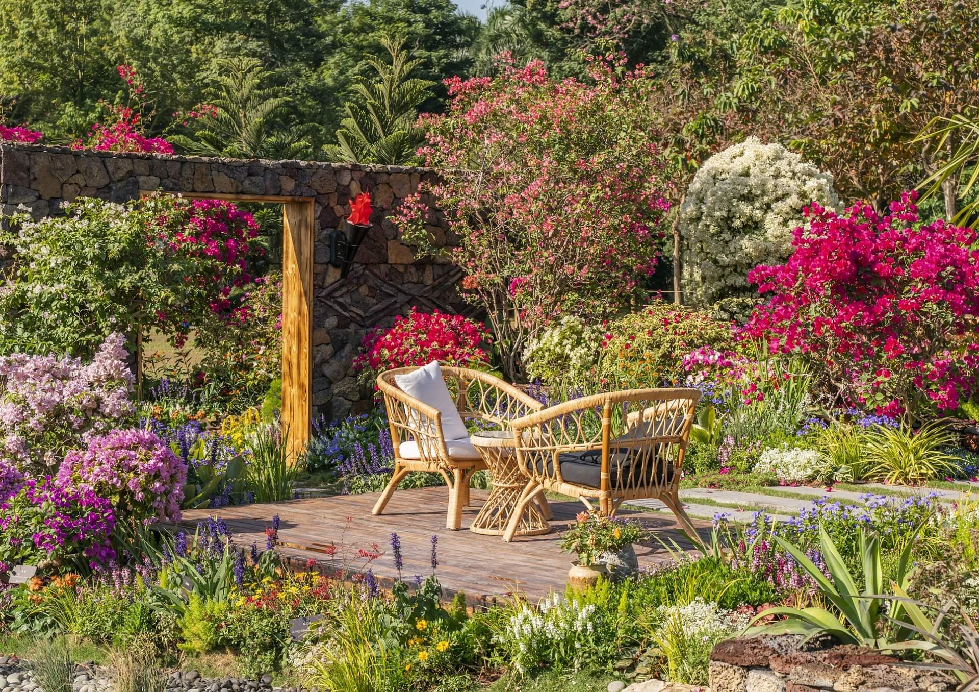 7 plantes très exigeantes que même les jardiniers évitent dans leur jardin — Jardin et terrasse