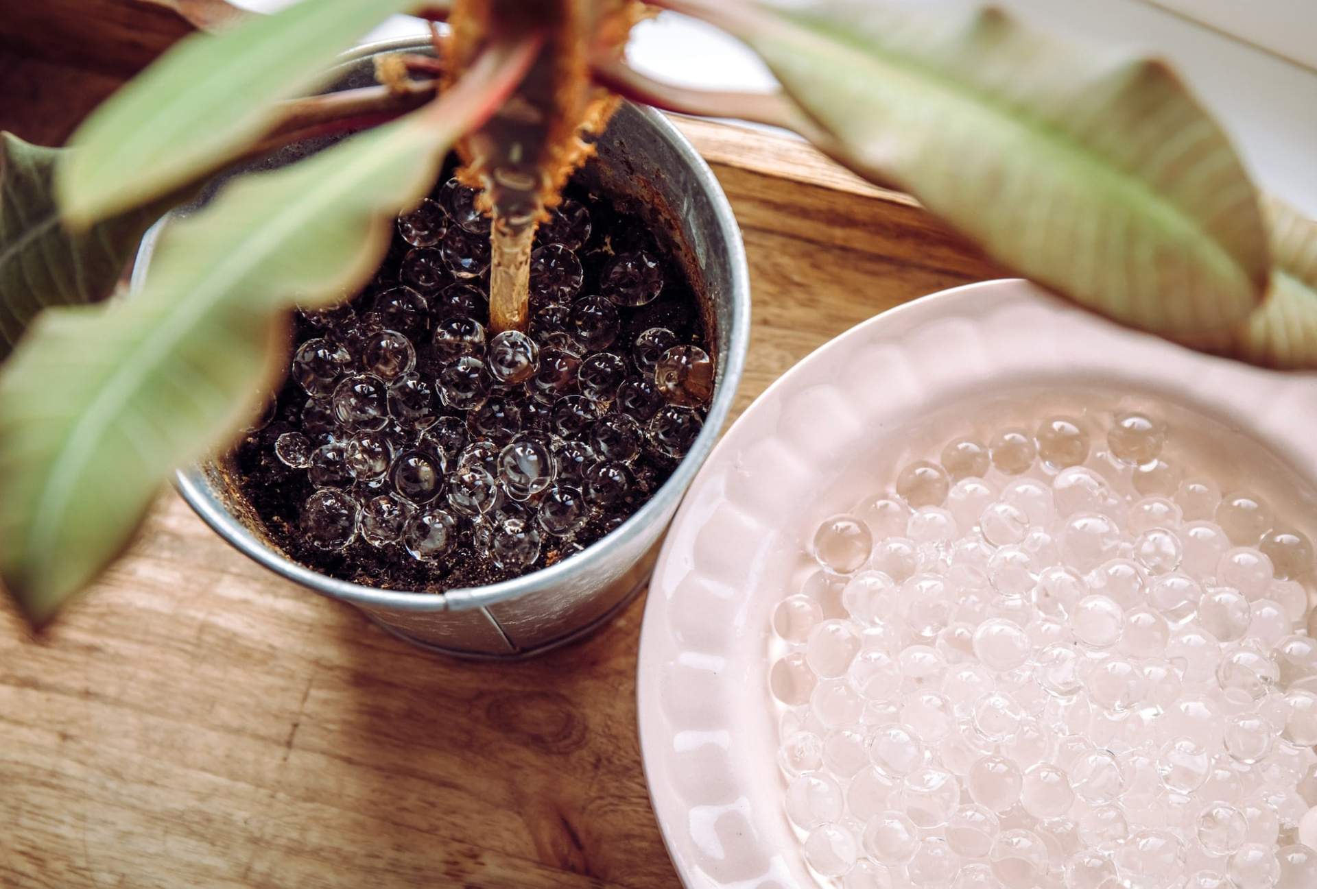 This Method Can Save Your Plants If You Tend to Forget Them — Garden & terrace