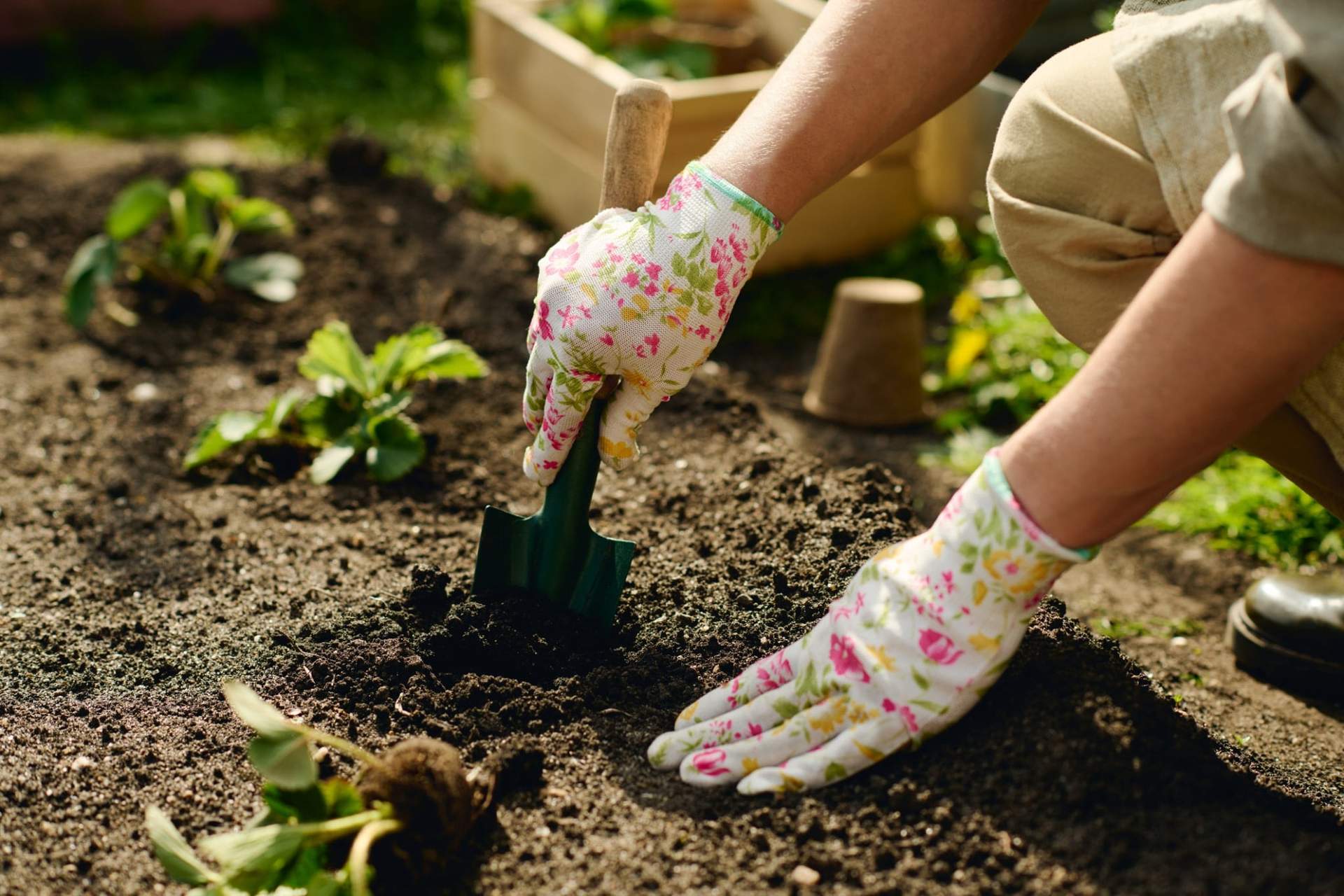 Supports astucieux et germoirs : des idées créatives pour vos semis d'été — Jardin et terrasse