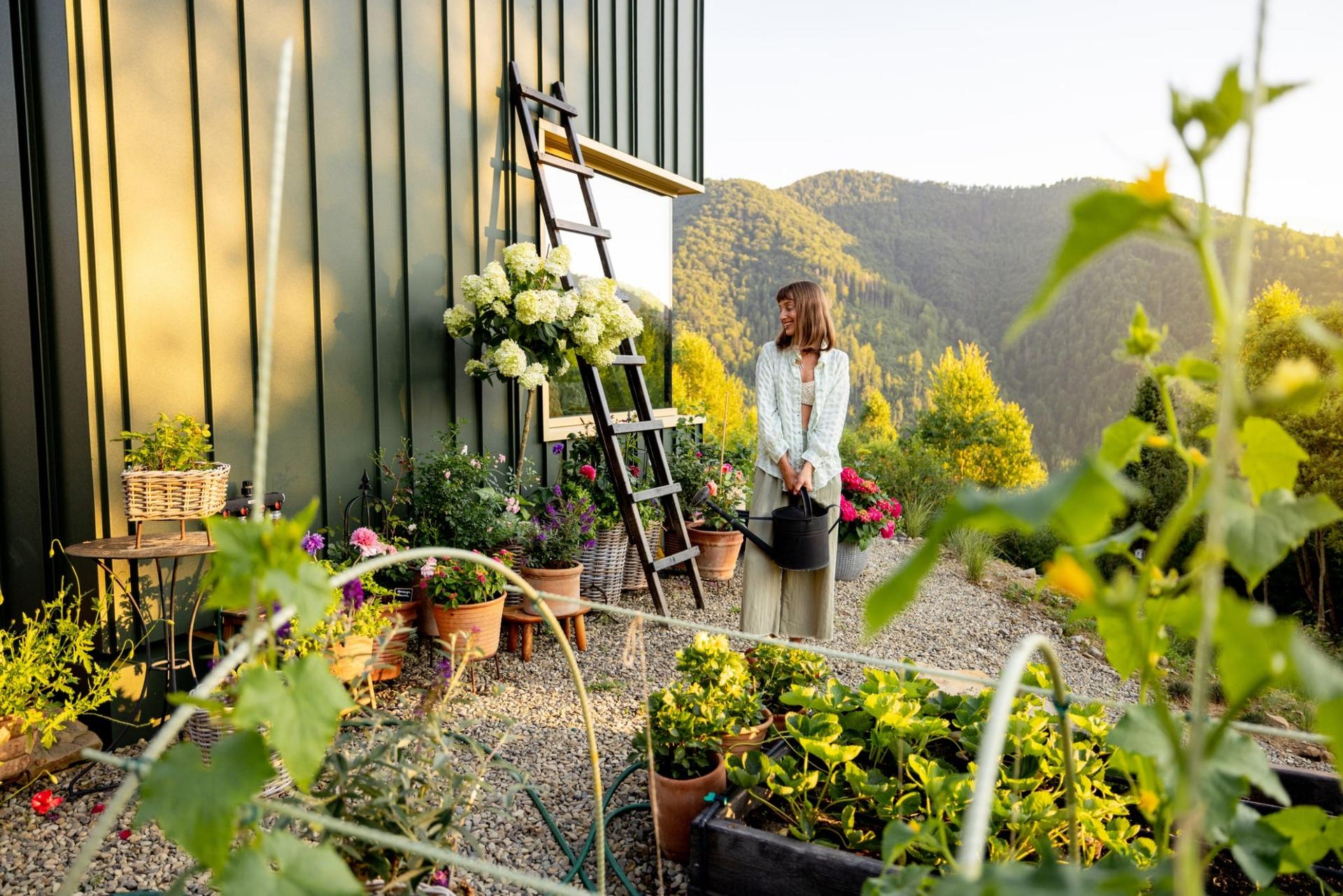 Künstliche Intelligenz gestaltet deinen Garten neu – kostenlos — Garten & Terrasse