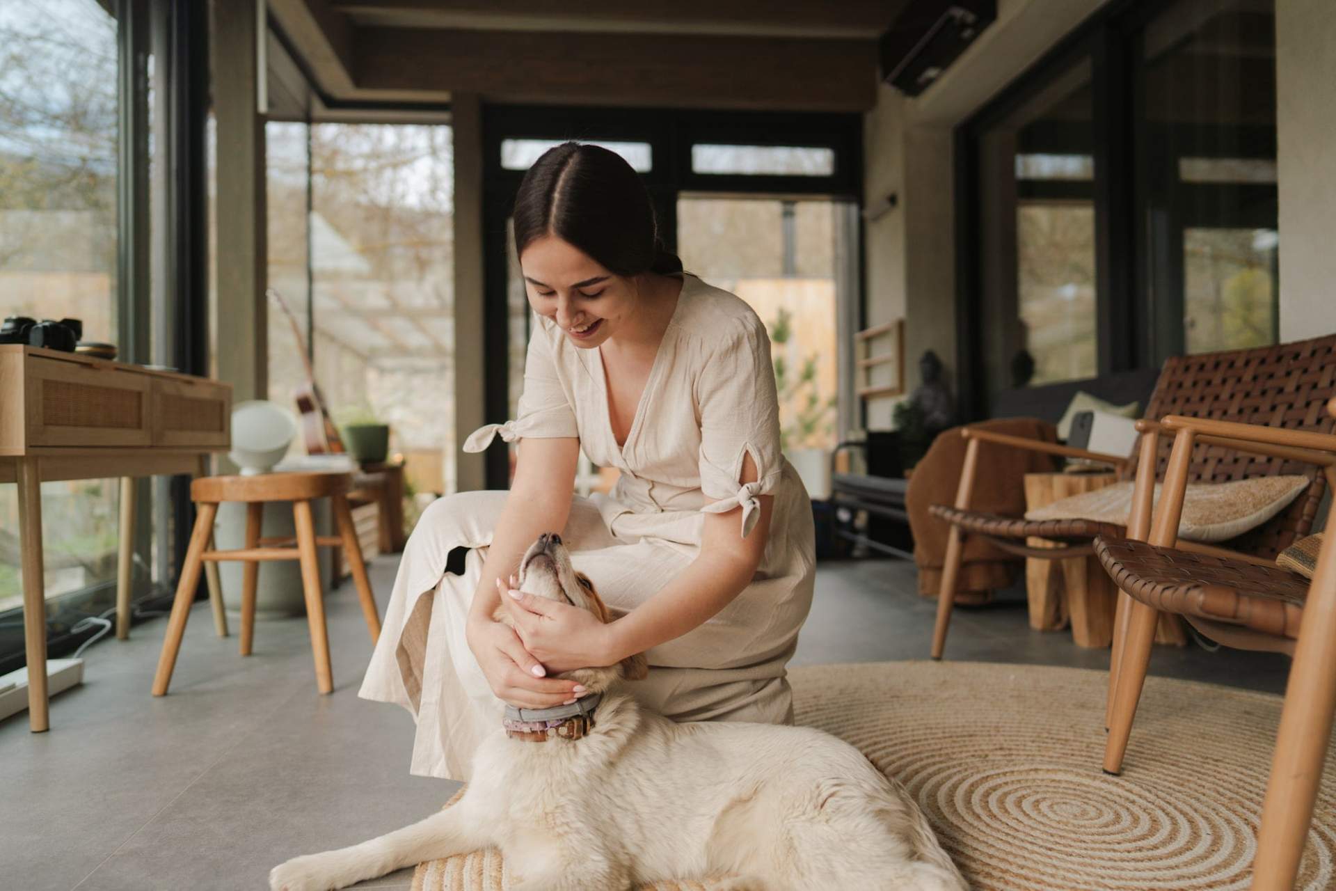 Non, ton chien n’est pas comme ton enfant — Famille