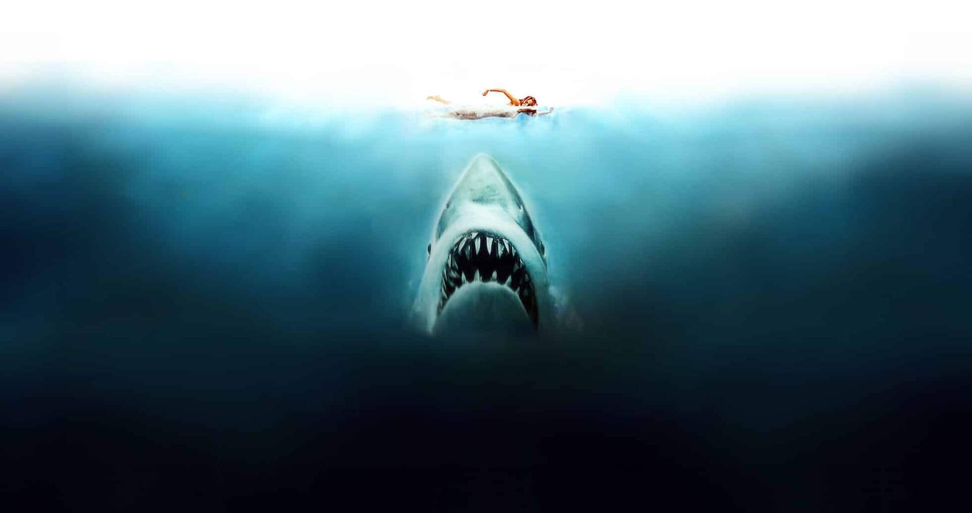 Top 10 des films de requins – Au-delà du classique Jaws — Loisirs