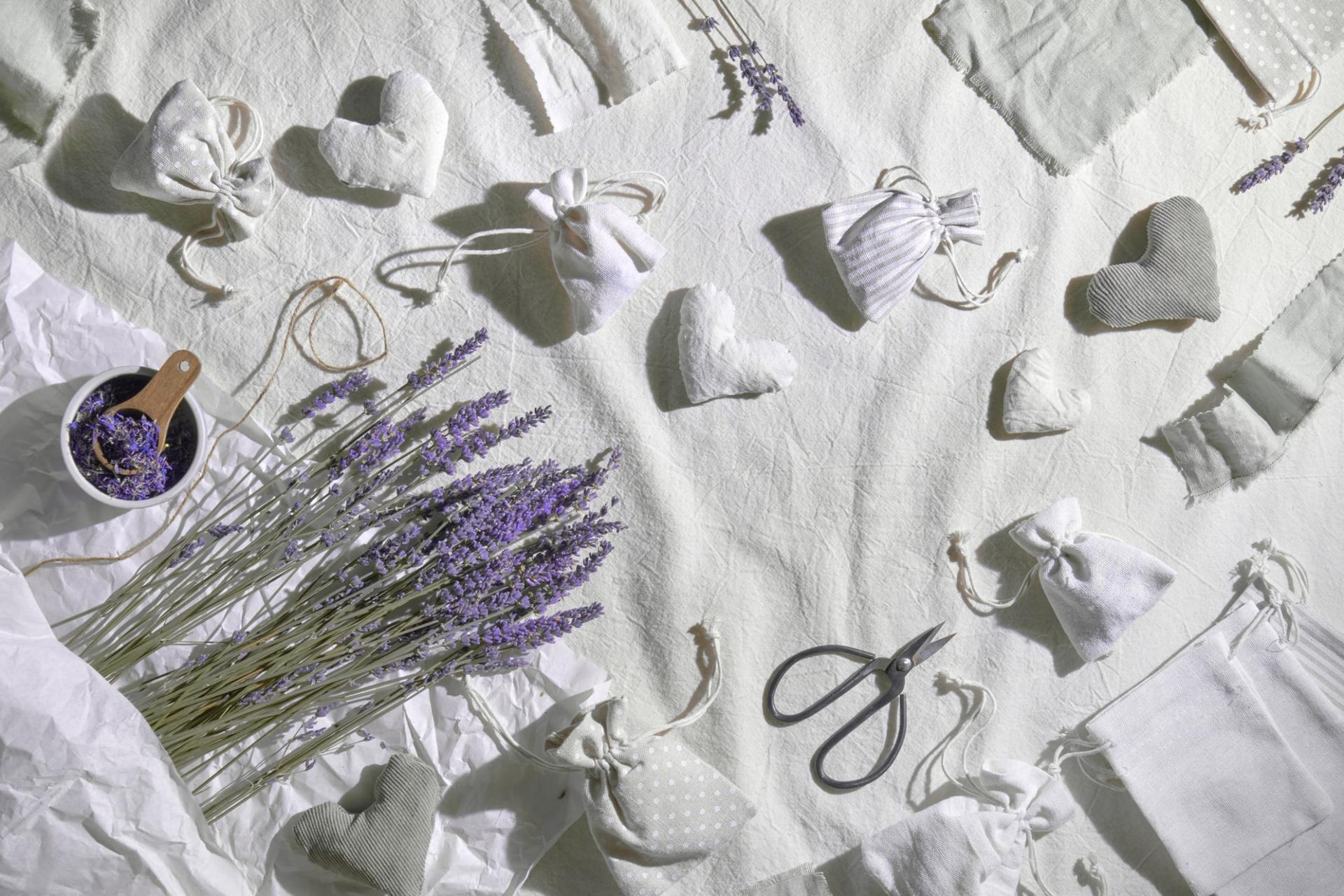 7 ideas creativas para aprovechar la lavanda en casa — Hogar y limpieza