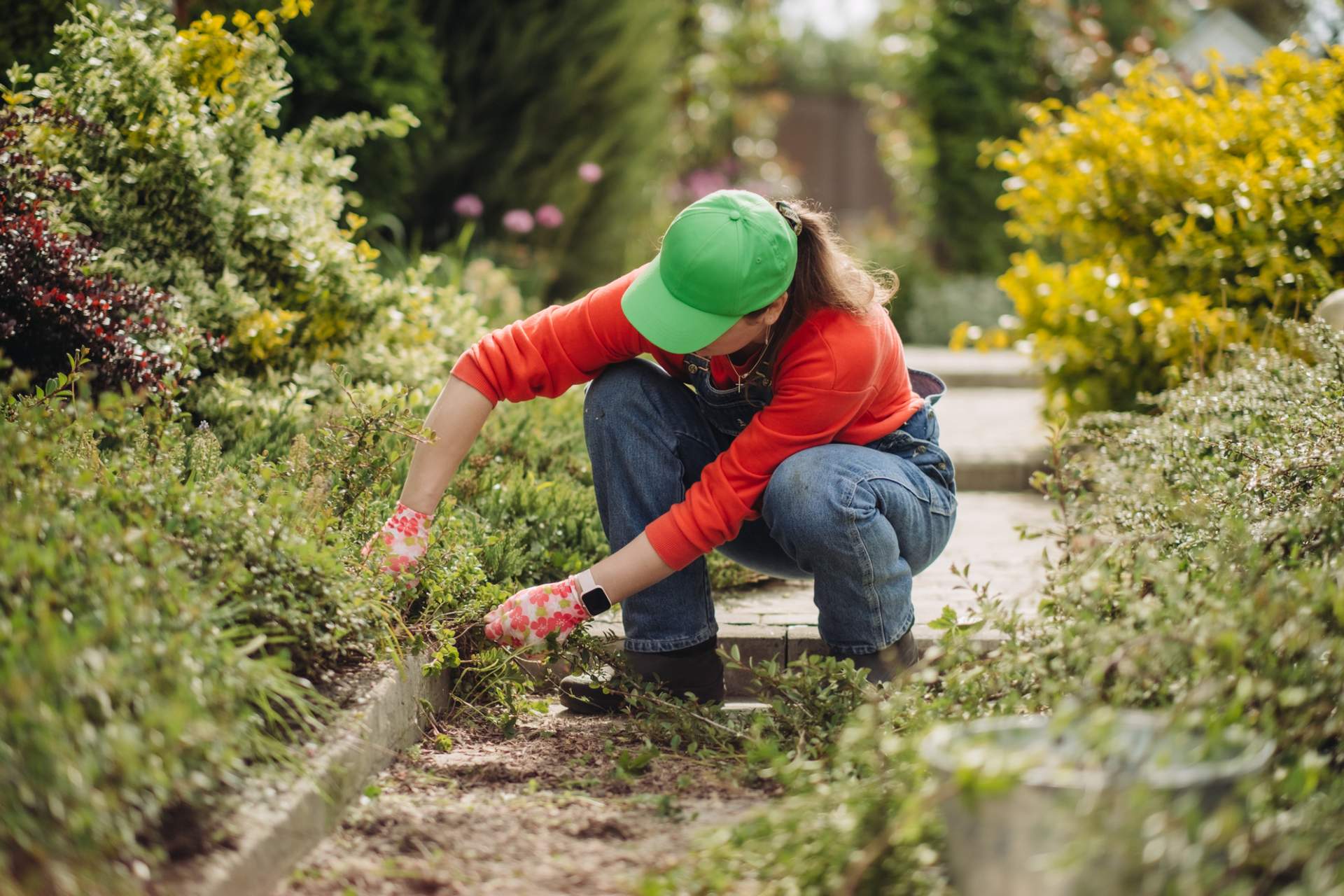 Weißklee verbessert die Bodenfruchtbarkeit – 5 Unkräuter, die tatsächlich nützlich sind — Garten & Terrasse
