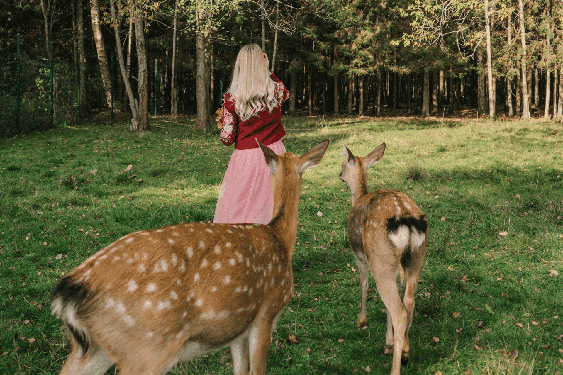 Quel animal totem vous guide ? Découvrez-le grâce à votre mois de naissance ! — Mode de vie