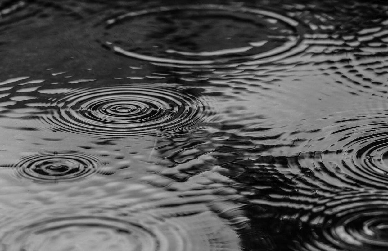 Managing Rainwater: How to Design Effective Drainage for Your Garden — Garden & terrace