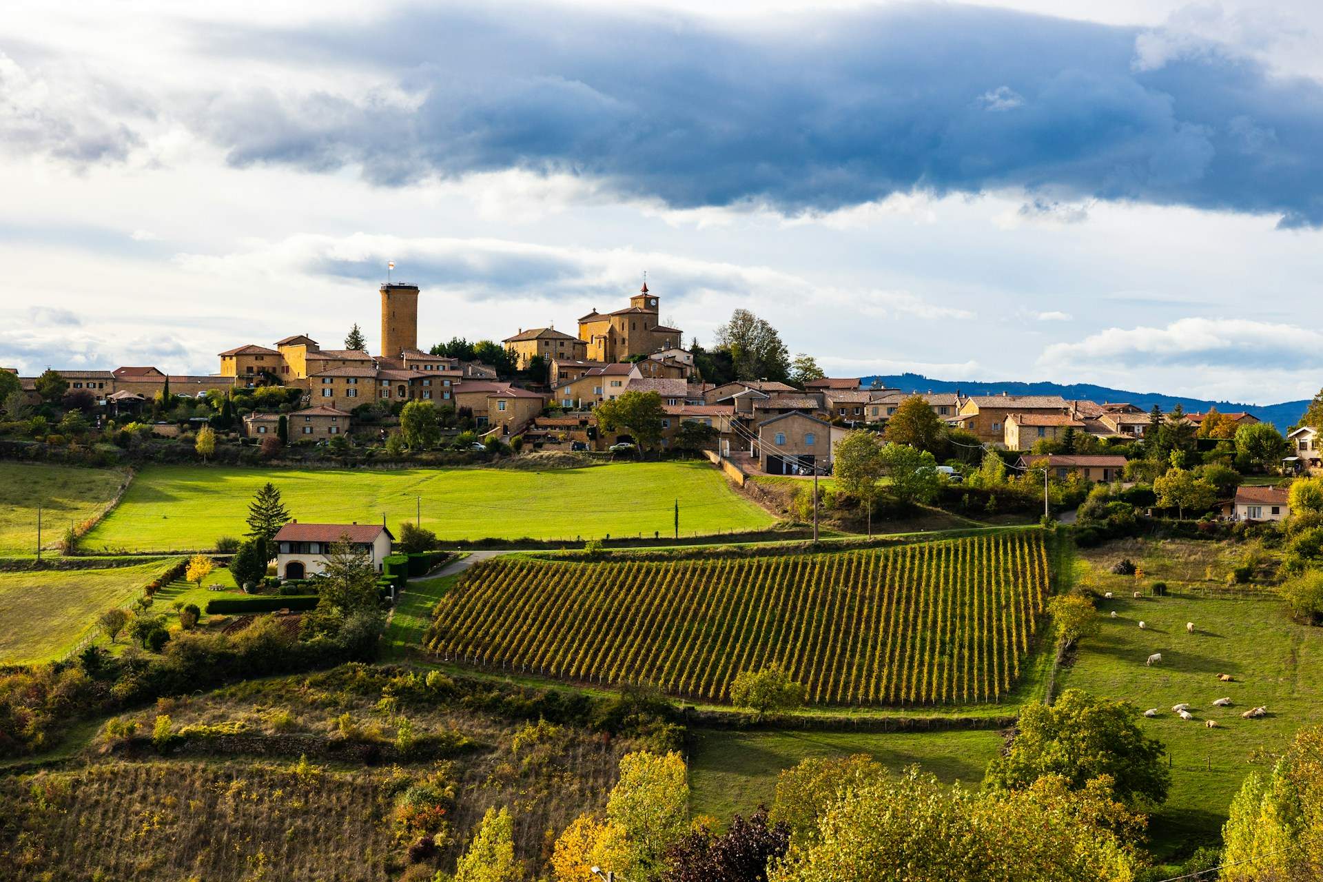 Ces itinéraires gastronomiques en Italie vous ouvrent de nouvelles dimensions de saveurs — Loisirs