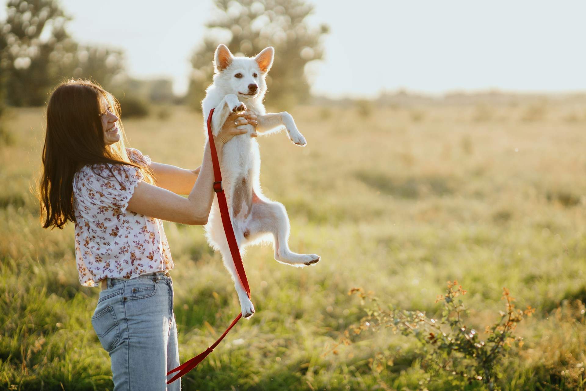 Se potessi parlare con il tuo animale domestico per 24 ore, cosa gli chiederesti? — Famiglia