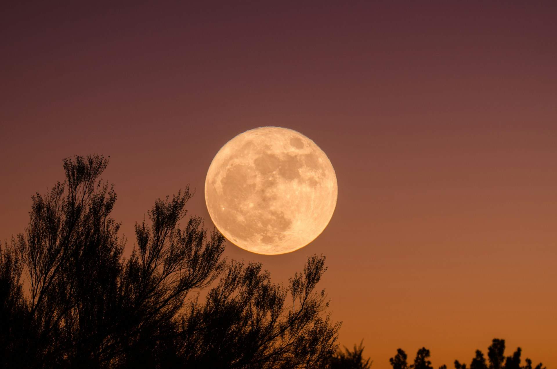 NASA Explains How the Full Moon Affects Our Sleep — Health