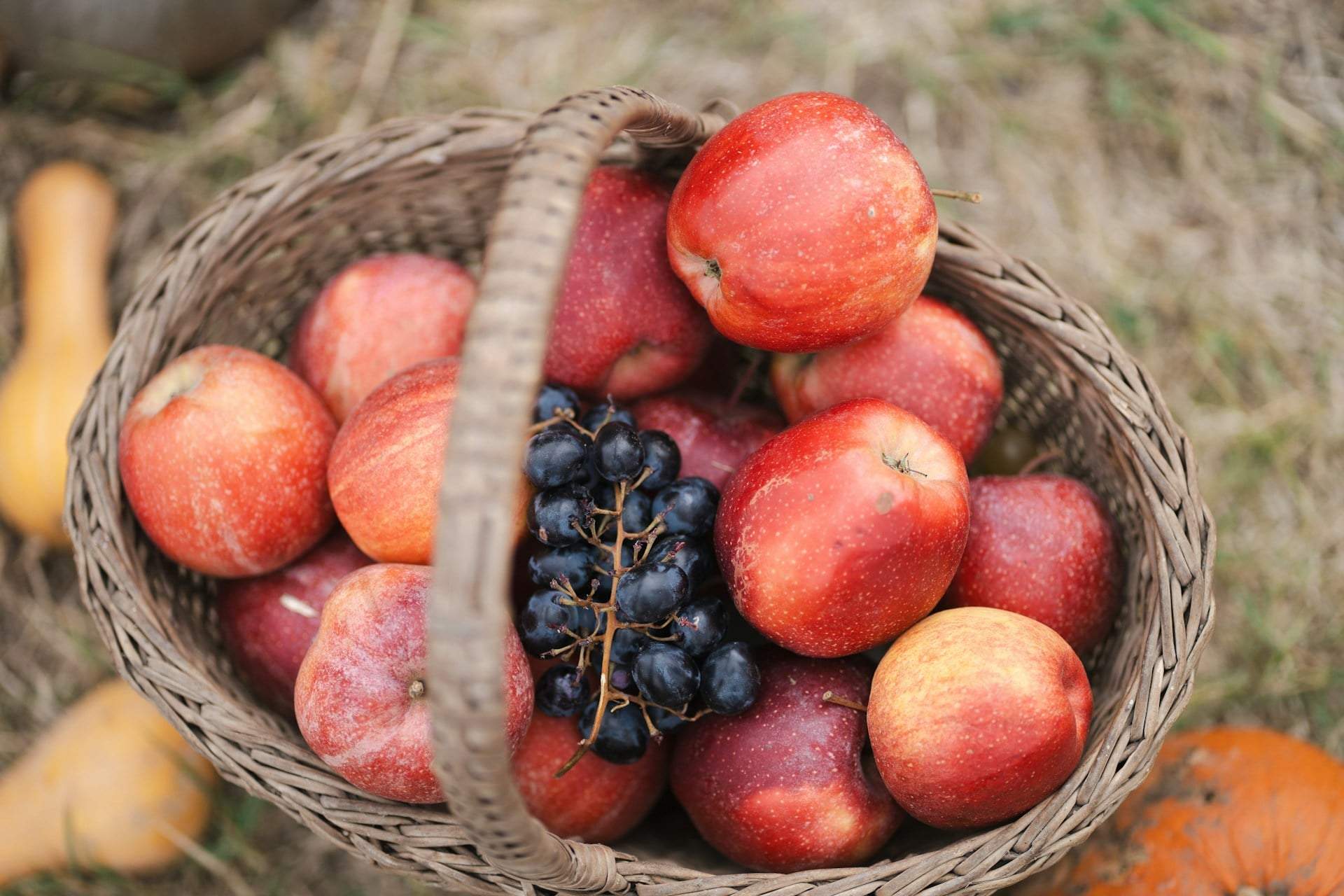 Test de personnalité : choisis un fruit d’automne et découvre ce qu’il révèle sur toi — Mode de vie