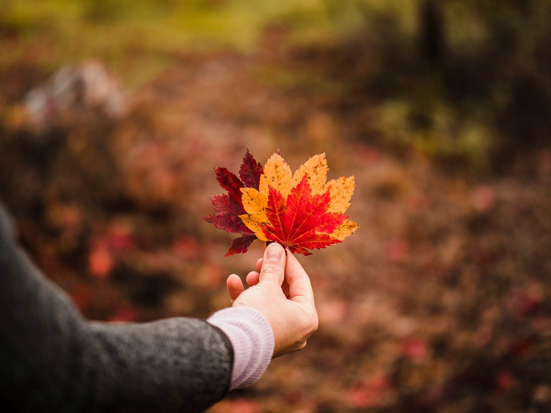 Nouveautés d’octobre en horoscope qui vont transformer ton année — Mode de vie