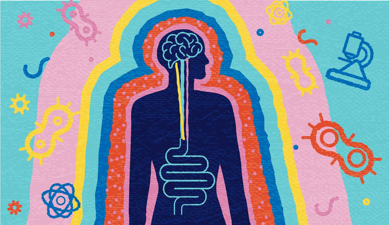 Incredibile: come lo stress influenza la tua flora intestinale — Salute