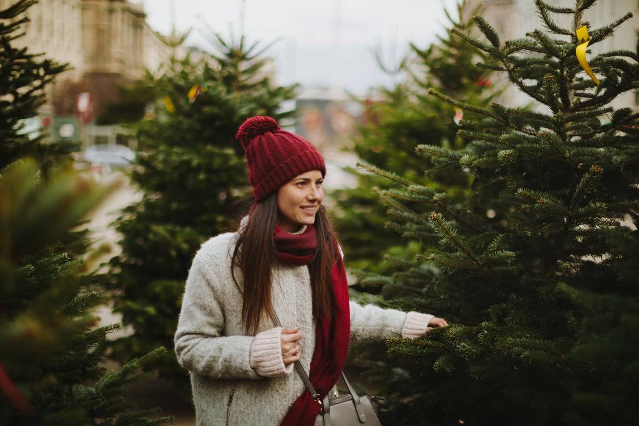 Expert Tips for Buying Your Christmas Tree – Avoid These Common Mistakes!
