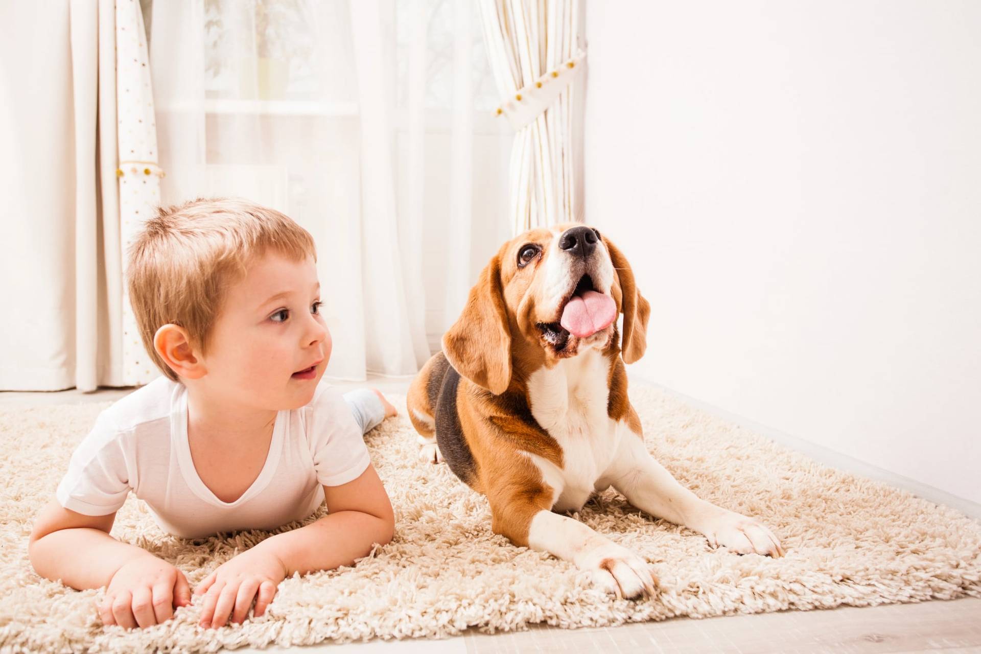 Il legame speciale tra cane e bambino: quando il pet diventa un vero supporto emotivo