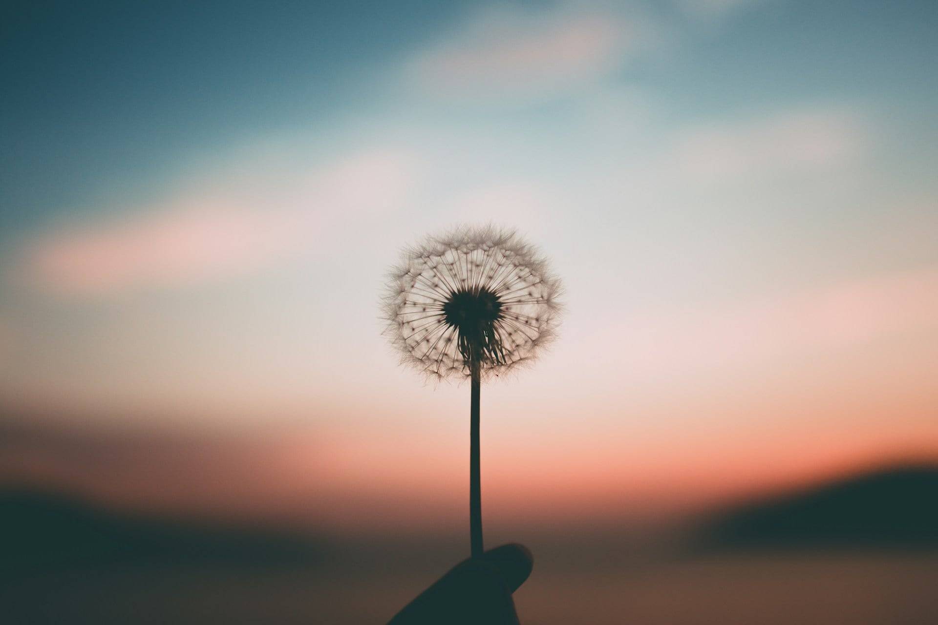 3 messaggi spirituali di Eckhart Tolle per ritrovare la tua pace interiore