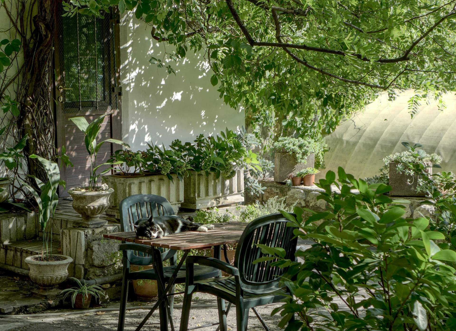 5 petits détails de ton jardin qui rechargent ton esprit — Mode de vie