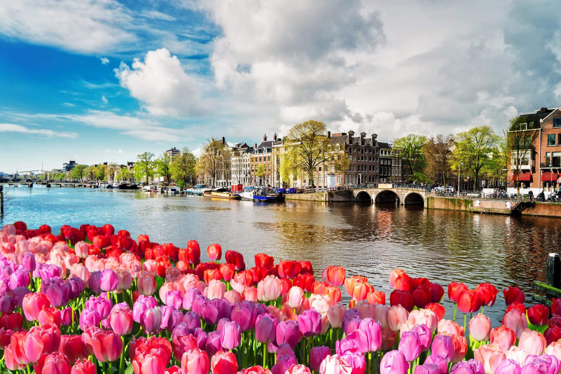 8 posti in Europa dove la primavera regala un’atmosfera super romantica — Tempo libero