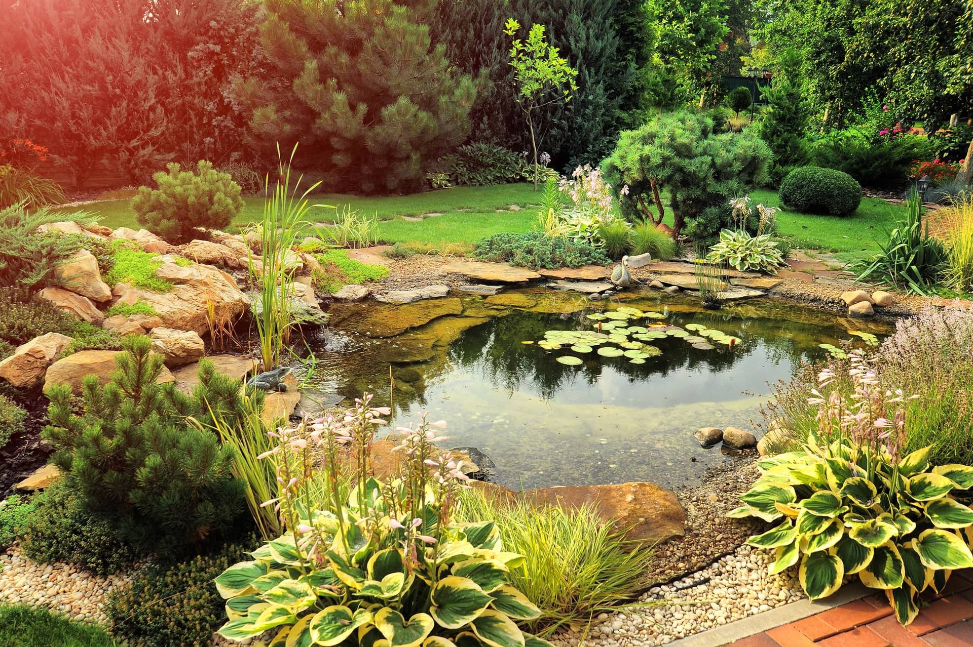 Queste 5 tendenze da giardino sono belle, ma richiedono tanto impegno extra