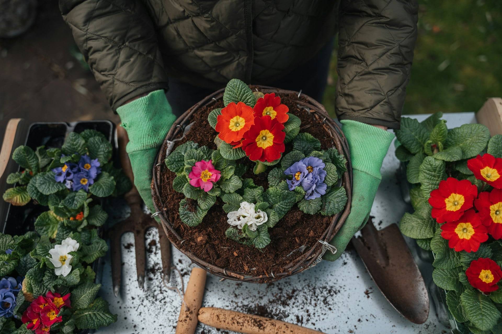 5+1 Simple Yet Stunning Garden Makeover Ideas You Can Do in a Weekend
