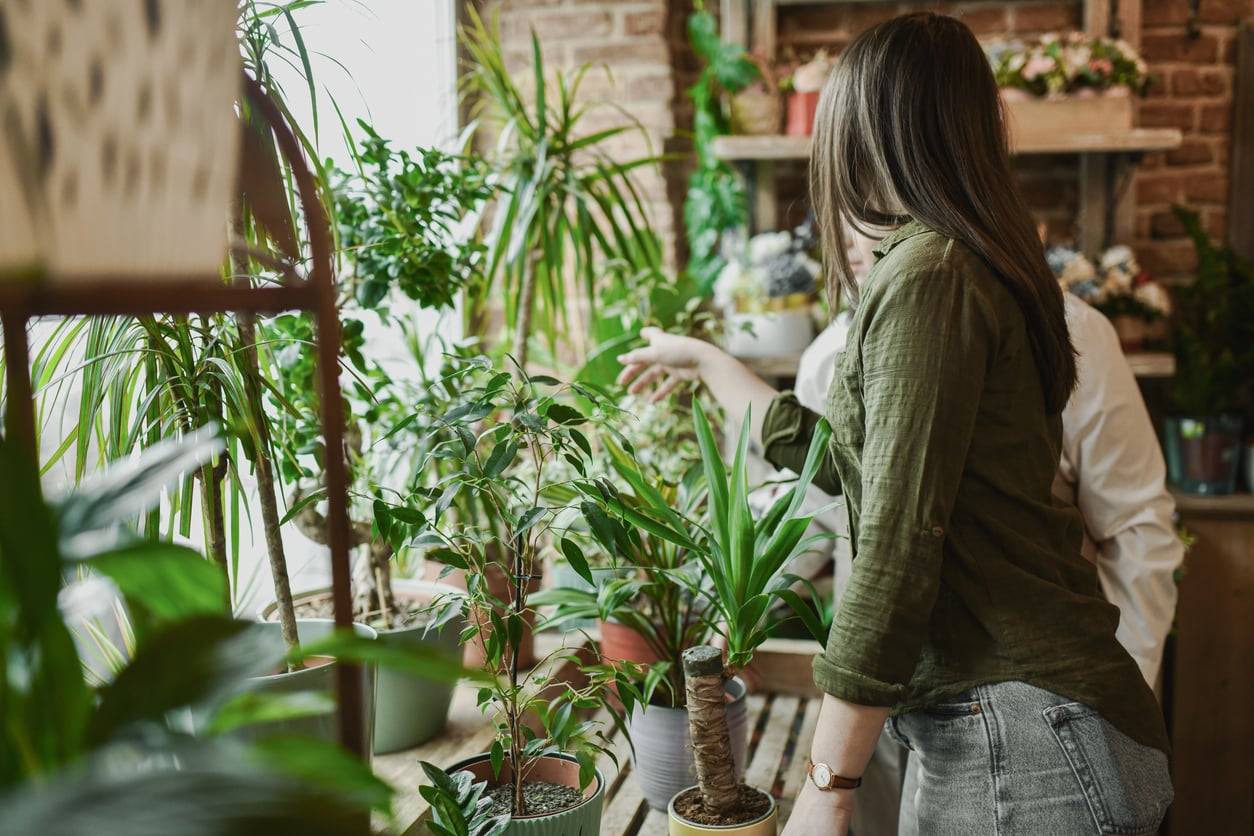 5 decorazioni ispirate alle piante che portano la tua casa a un nuovo livello