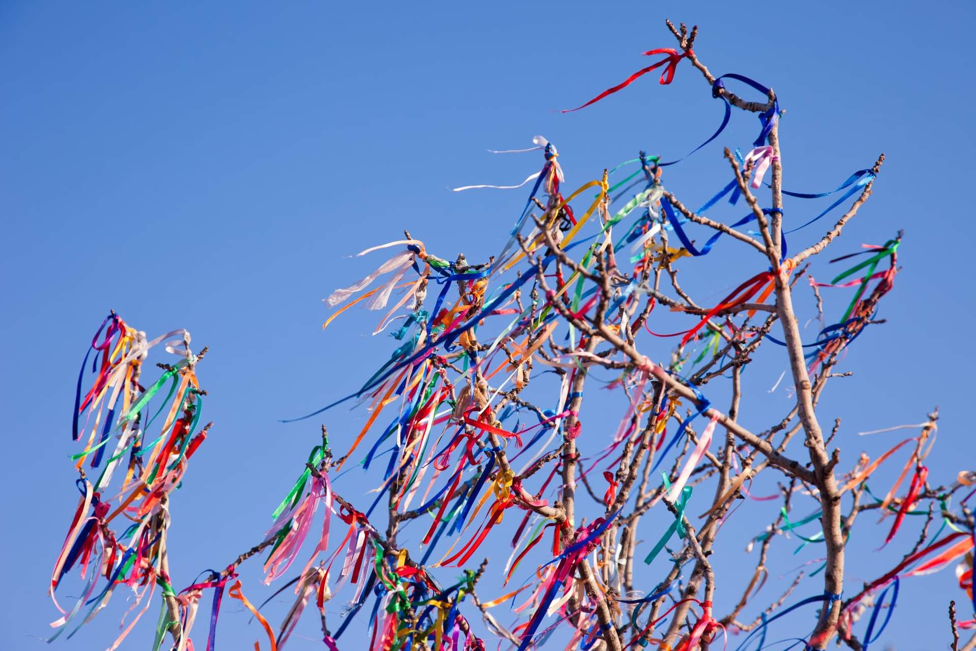 L'albero di maggio sta scomparendo: la tradizione romantica che rischiamo di perdere — Tempo libero