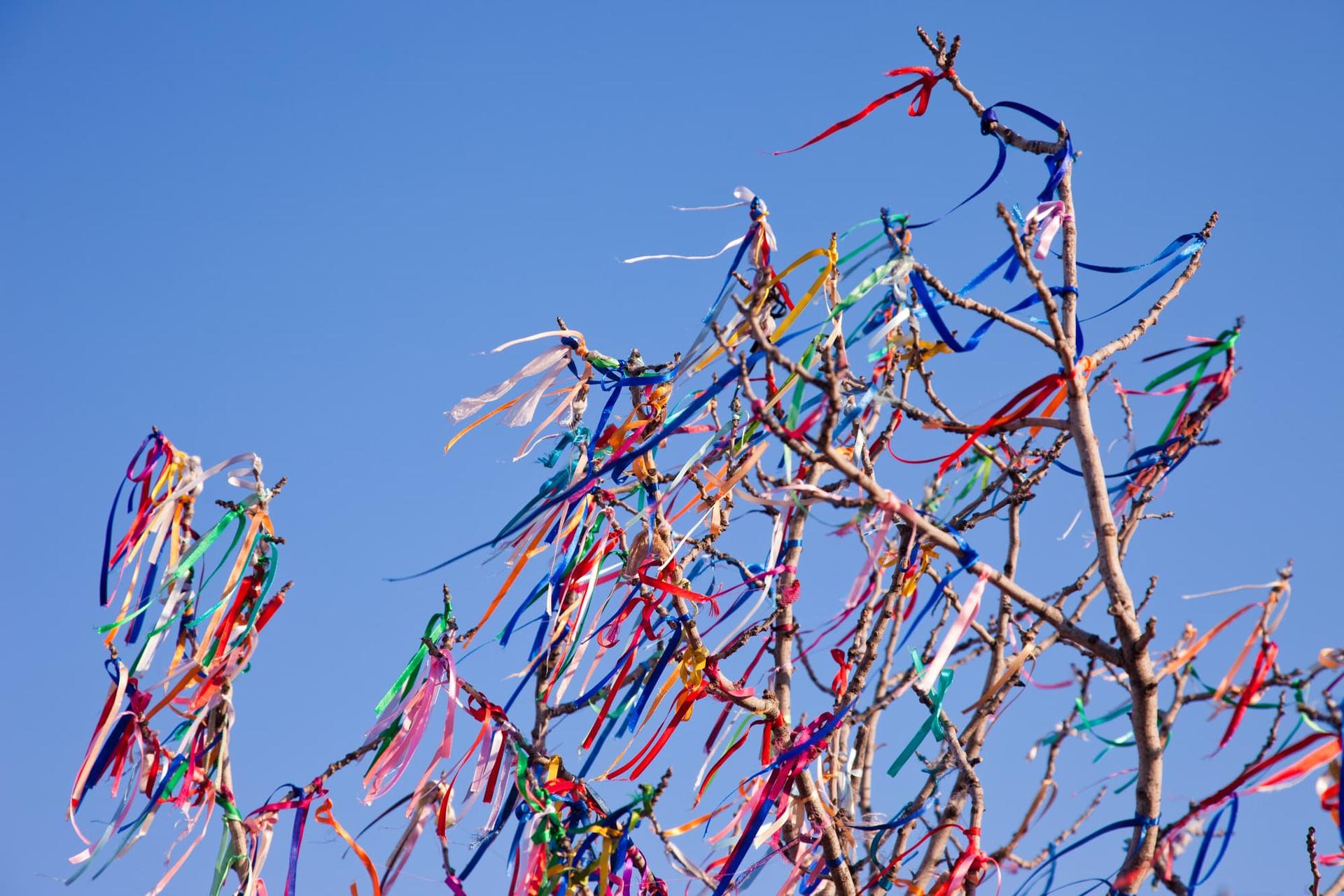 El árbol de mayo: ¿está desapareciendo esta romántica tradición de amor? — Ocio