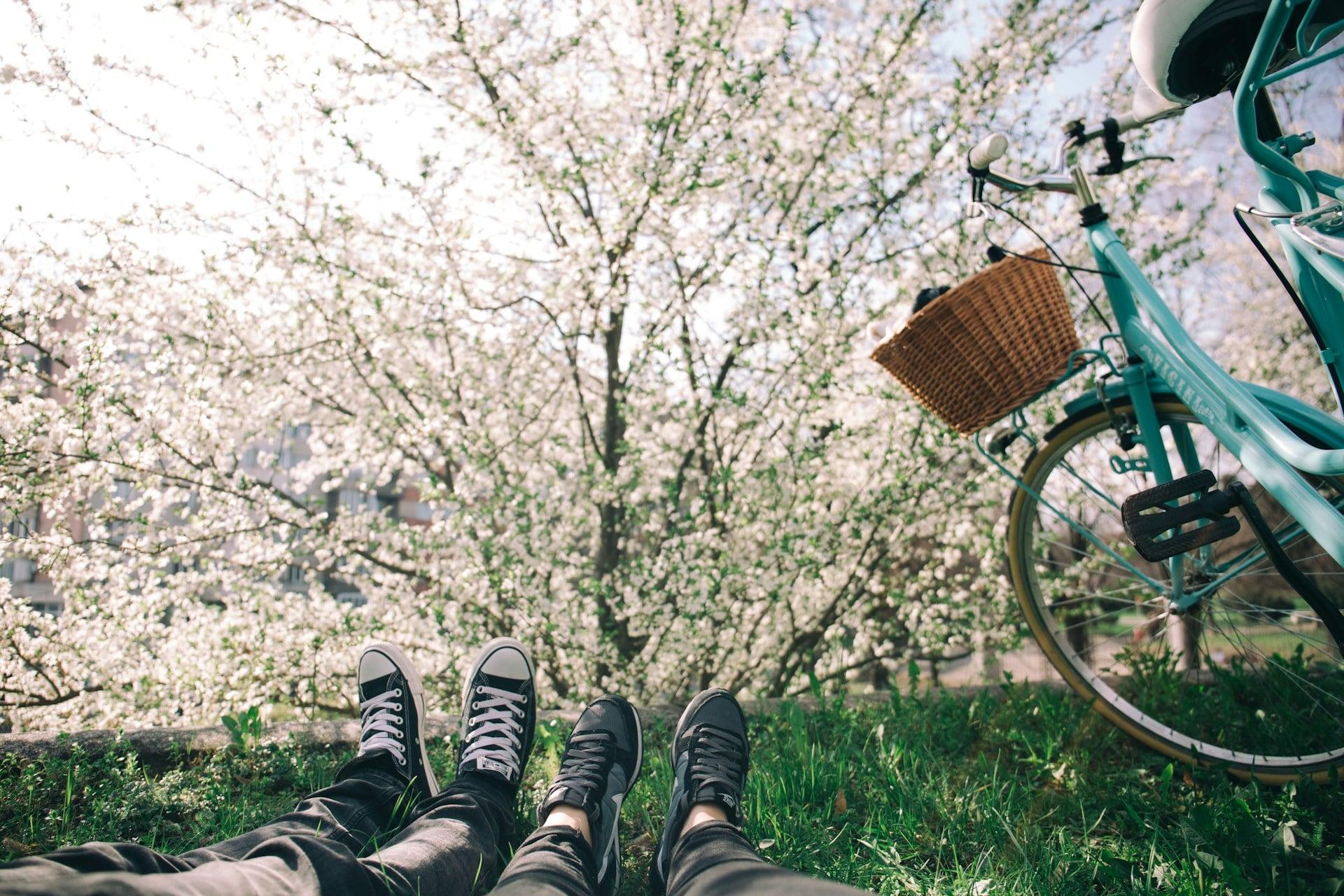 Daily Horoscope for April 29, 2026: Everything Falls Into Place — Lifestyle
