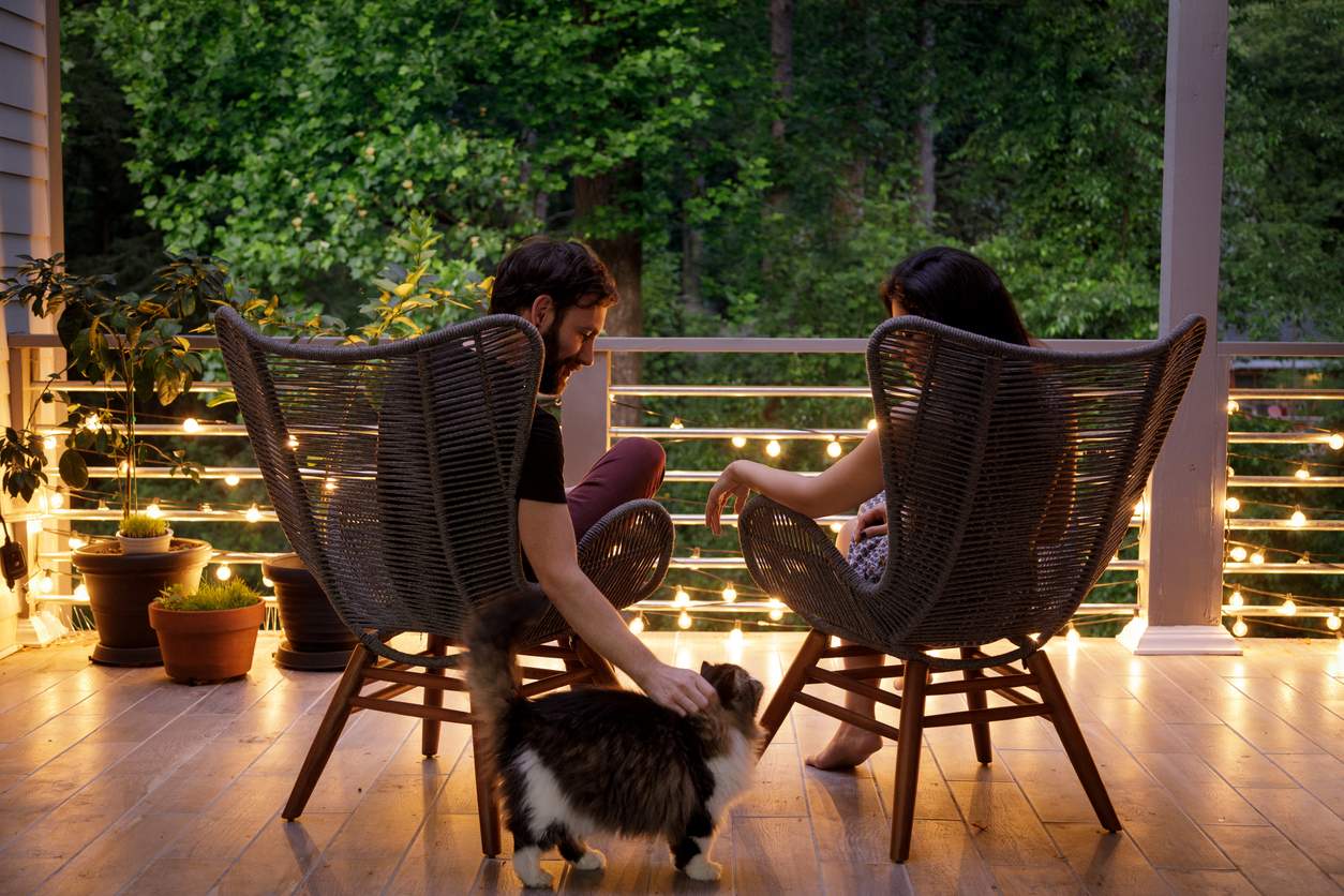 Le chat du voisin fait régulièrement ses besoins dans mon jardin – comment je gère cette situation délicate — Famille