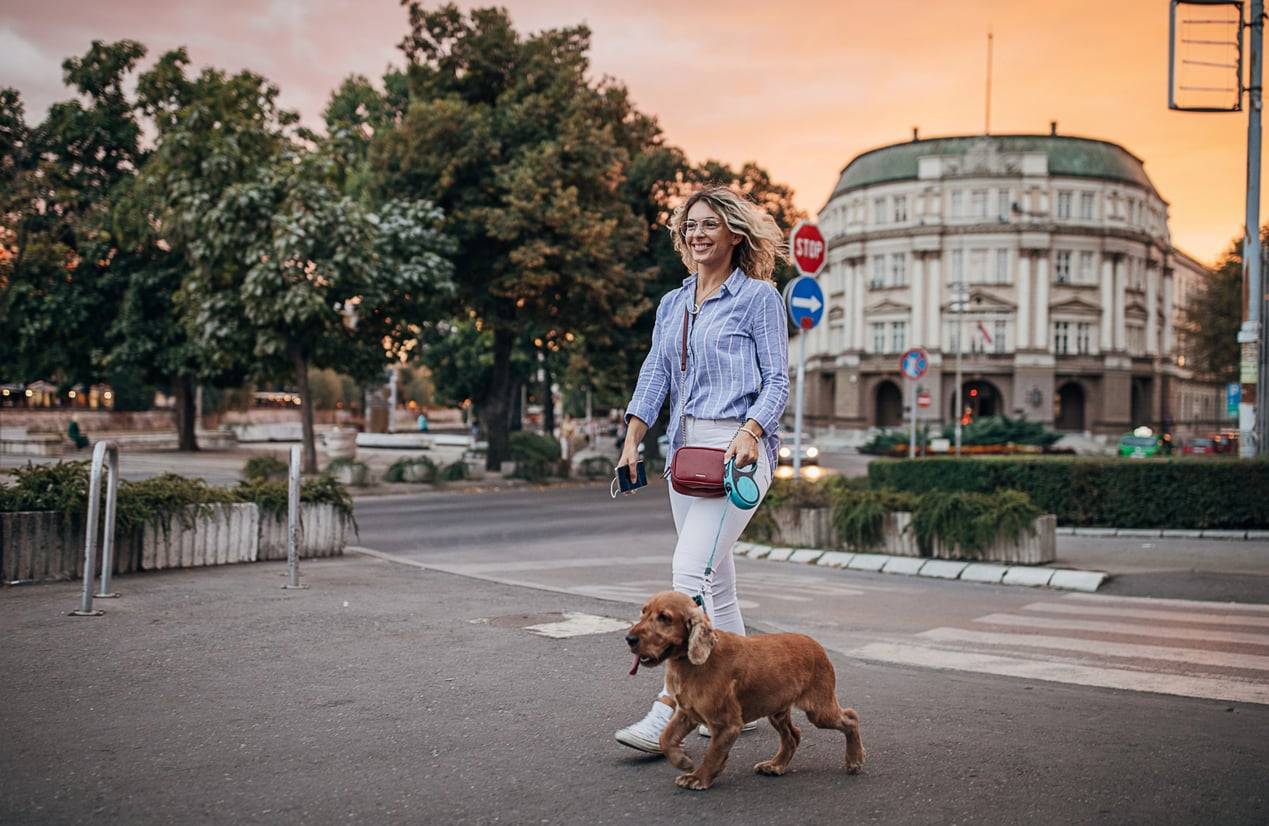 Errores comunes que cometemos los dueños de perros entre nosotros