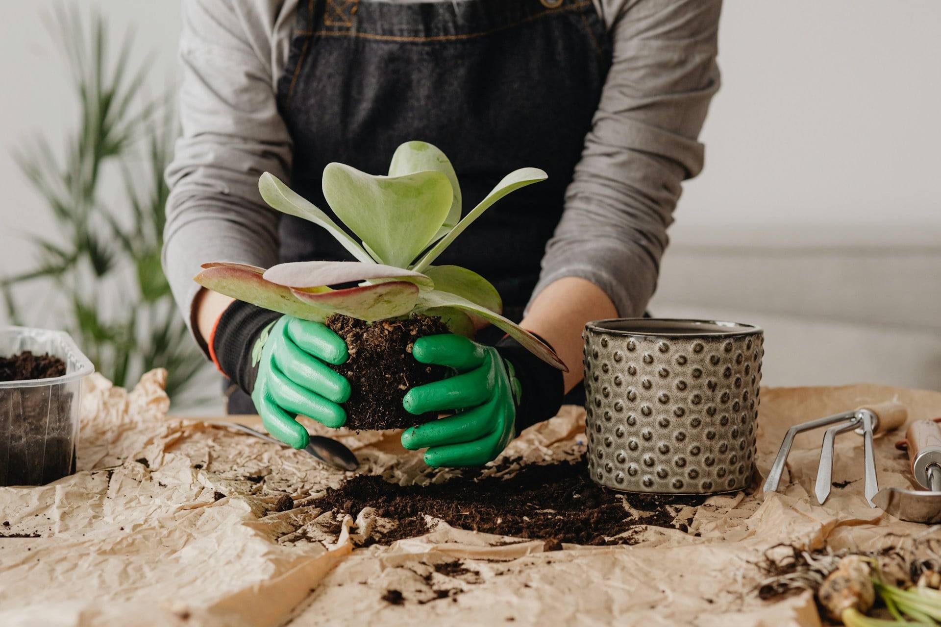 5 Trendy Flower Planting Ideas to Brighten Up Your Home Vibe