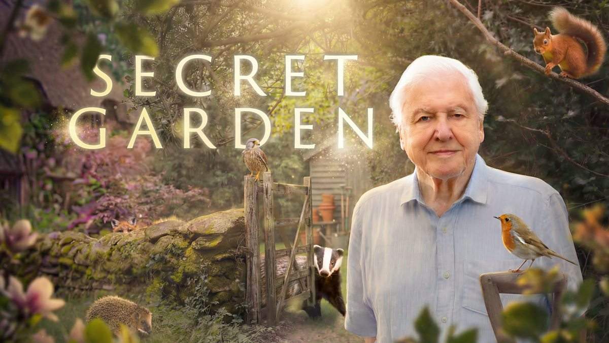 David Attenborough wird 100 – sein neues Meisterwerk zeigt: Die Wildnis beginnt im eigenen Garten — Garten & Terrasse