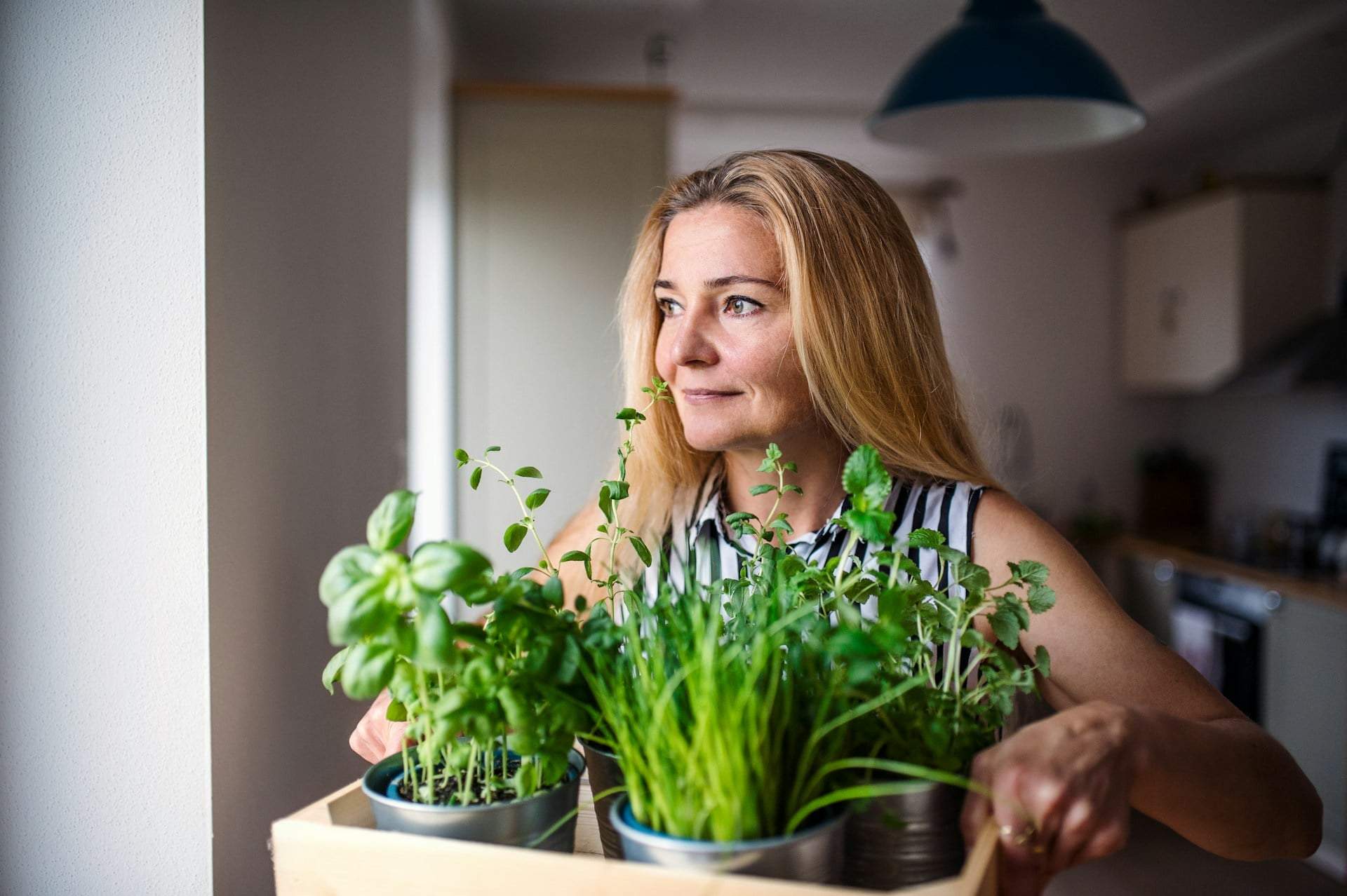 Cultivez vos légumes chez vous : 6 variétés qui poussent vite, même en appartement — Jardin et terrasse