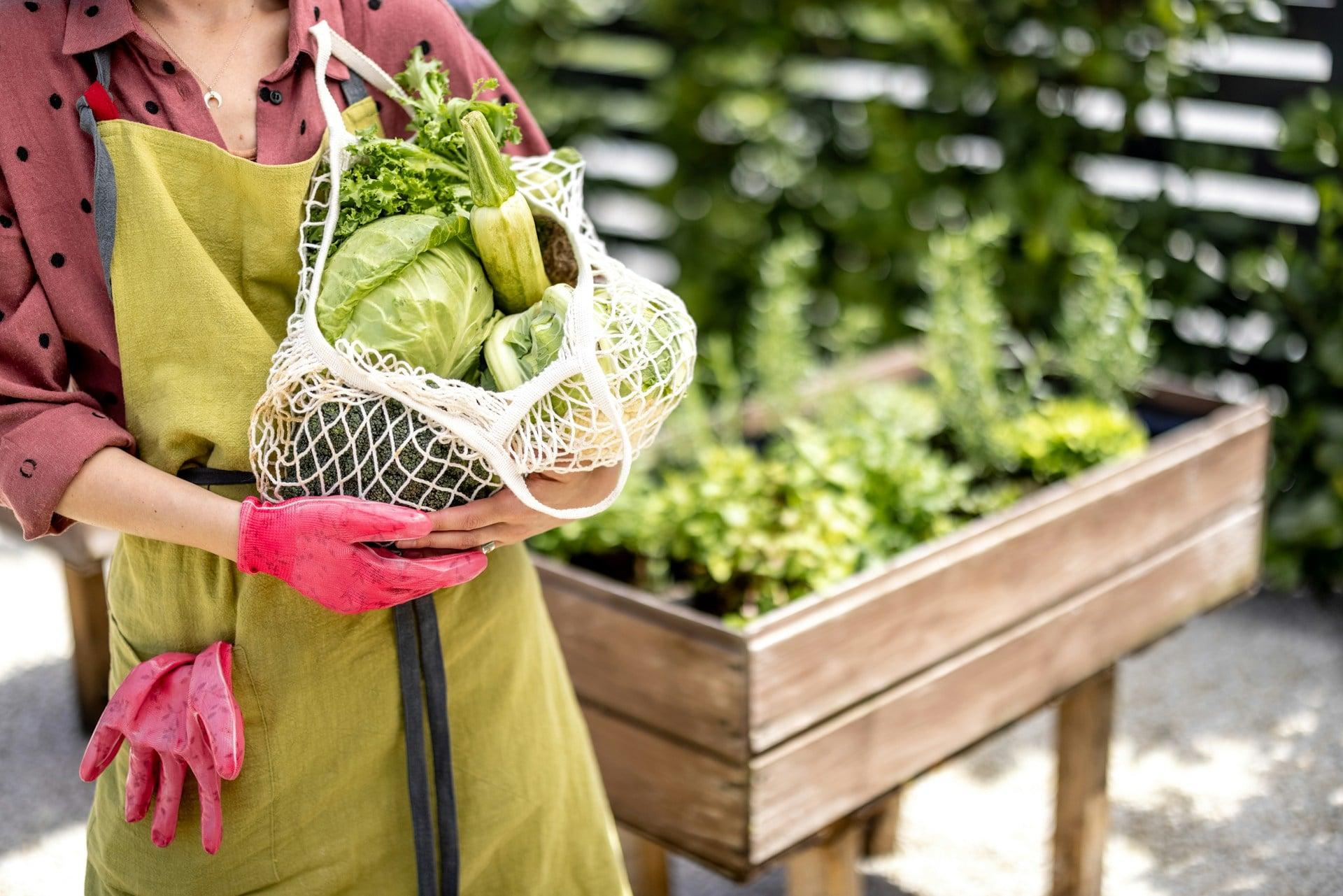 6 smart ways to save money and space in a small kitchen garden — Garden & terrace