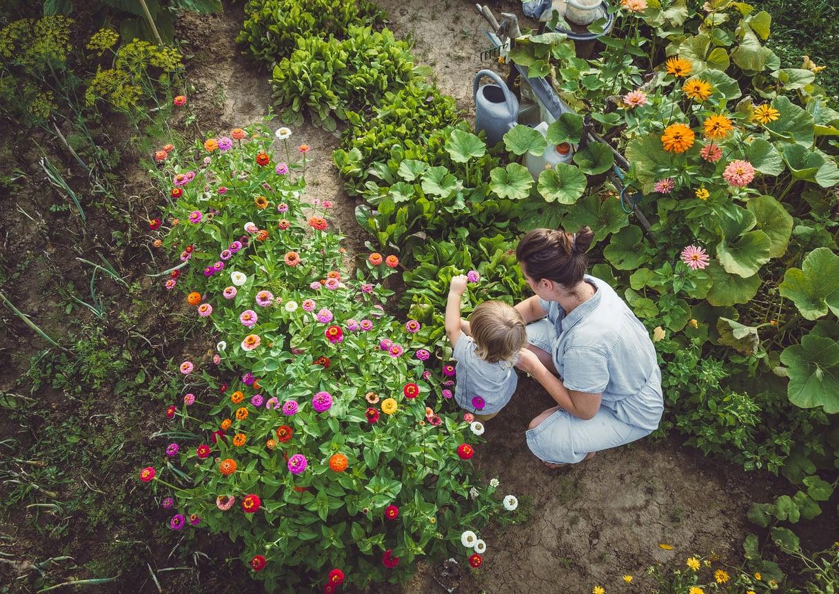 5 travaux de jardin incontournables en mai qui décideront de votre récolte d'été — Jardin et terrasse