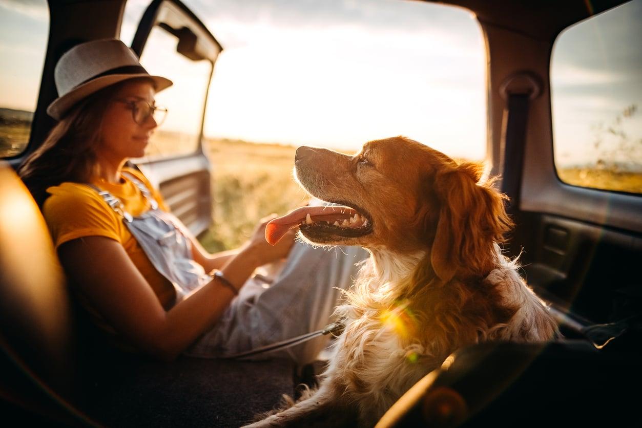 5 signs you're truly ready to get a pet — Family