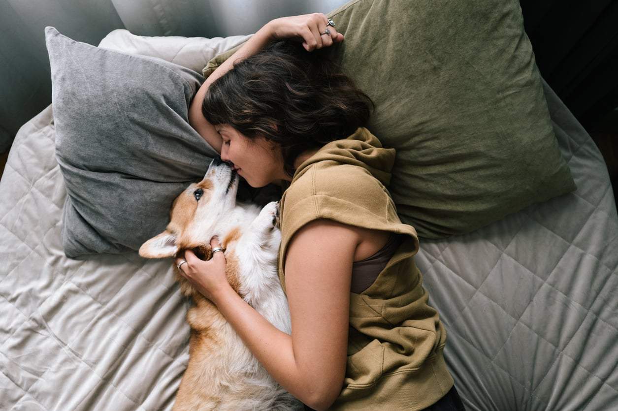 Lo que le pasa a tu cerebro cuando acaricia a tu mascota (y por qué importa más de lo que crees) — Familia