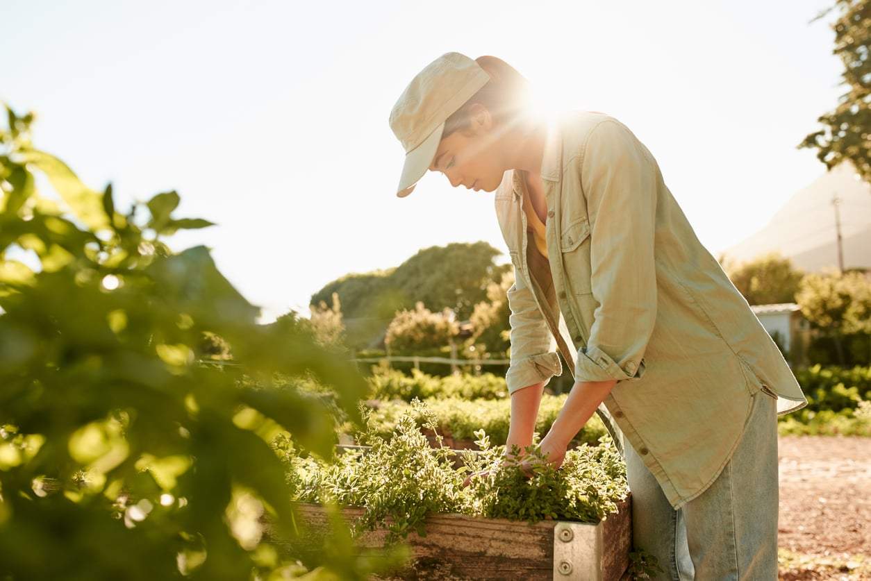 Come fare giardinaggio intelligente in estate senza annaffiare ogni giorno — Giardino e terrazza