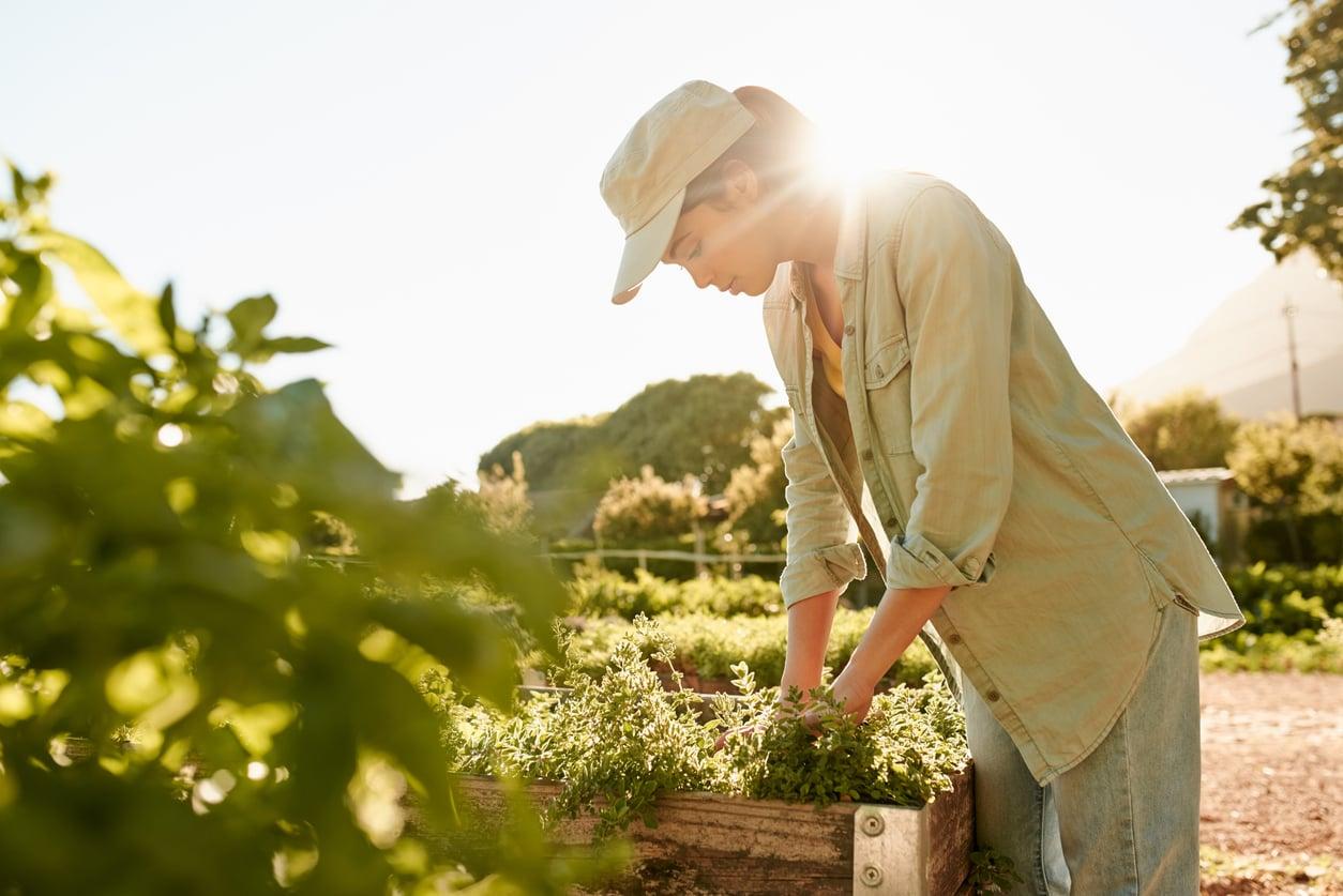 Jardiner malin cet été : les astuces pour ne plus arroser tous les jours — Jardin et terrasse