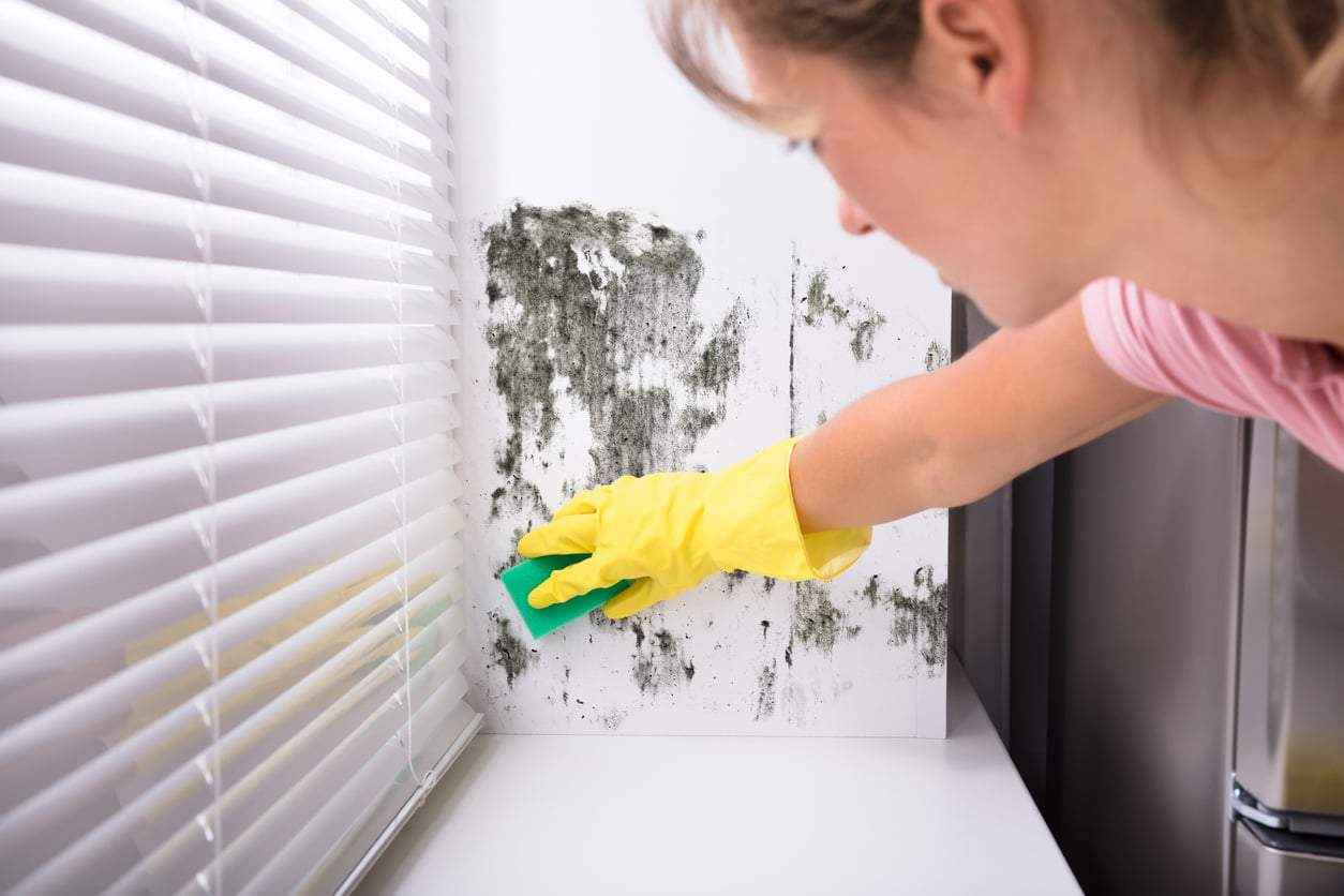 Schimmel im Verborgenen: Diese 4 Stellen in deiner Wohnung solltest du beim Sommerputz unbedingt prüfen — Haushalt