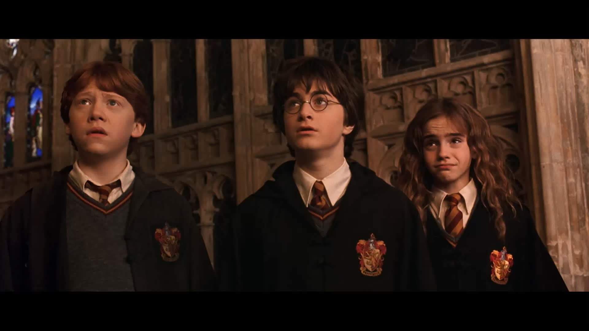 Which Harry Potter Character Are You? Your Birth Month Reveals the Answer — Lifestyle