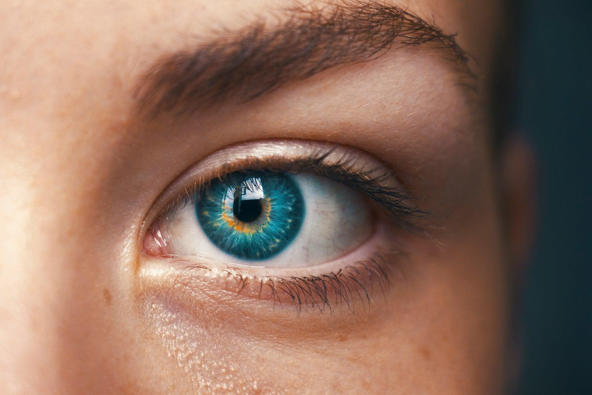 Pourquoi les bébés voient-ils le monde à l'envers ? 10 faits surprenants sur la vision humaine — Santé