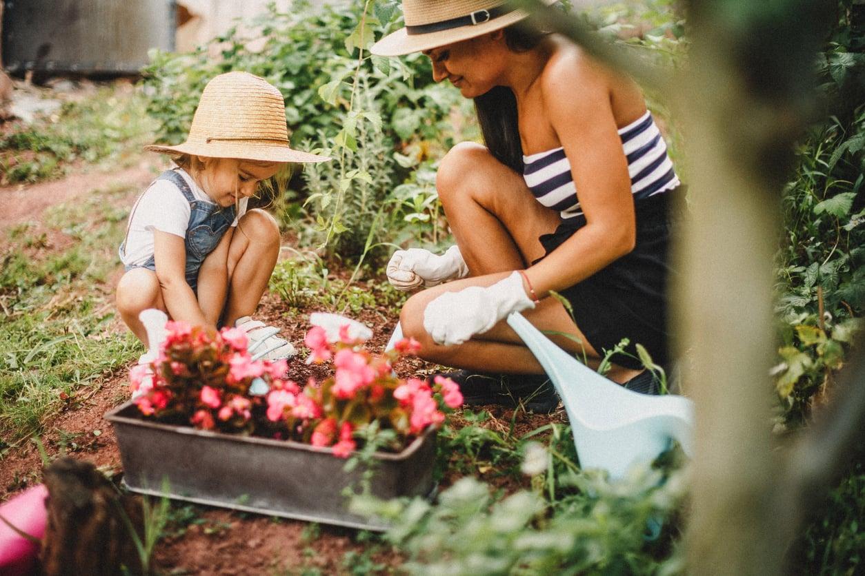 7 Fehler, die deinen Garten jedes Jahr unschöner machen — Garten & Terrasse