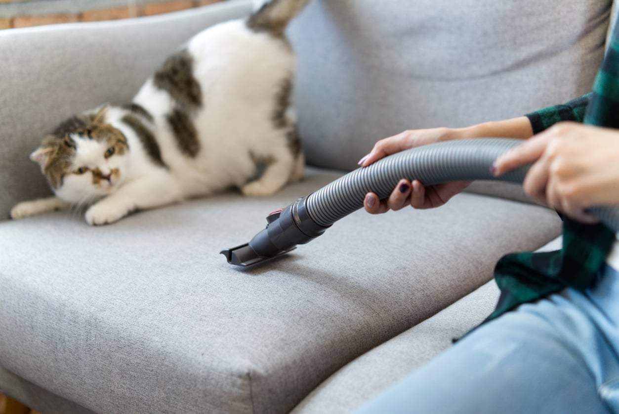 Comment garder votre maison sans poussière ni allergènes pendant des semaines — Santé