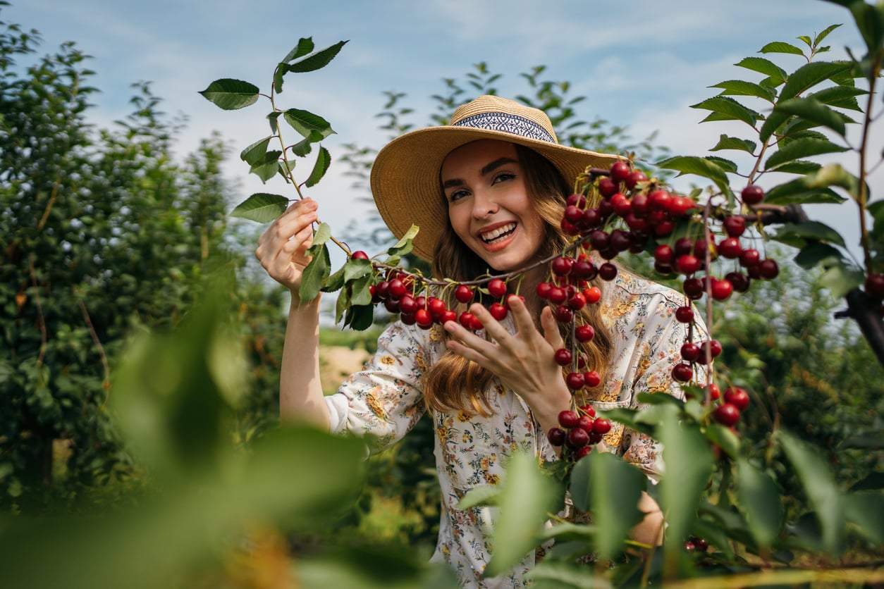 10 seasonal ingredients you should be cooking with in June — Lifestyle